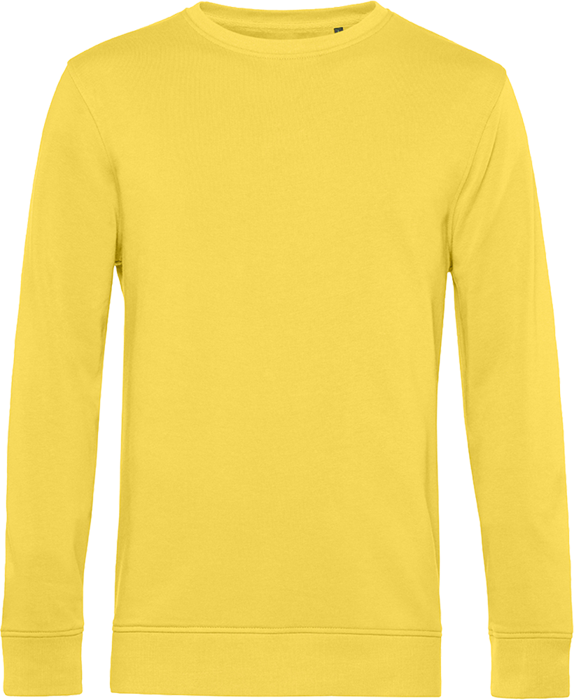 Inspire Crew Neck Sweat_°