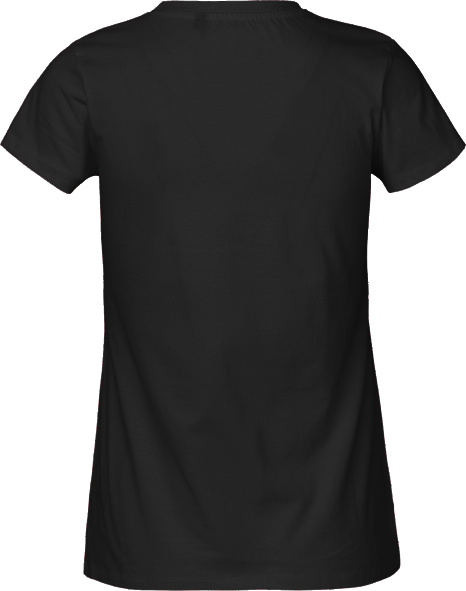 Ladies´ Classic T-Shirt