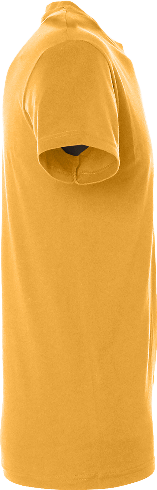 Regent T-Shirt 150