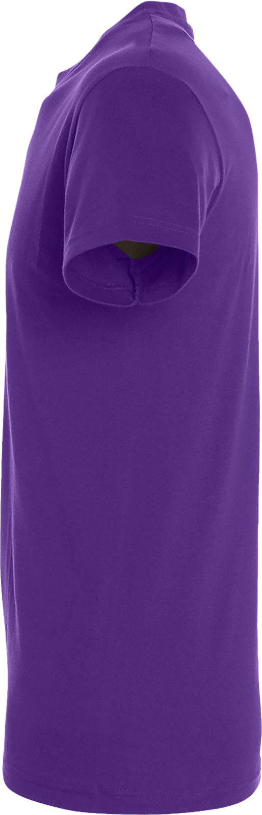 Regent T-Shirt 150