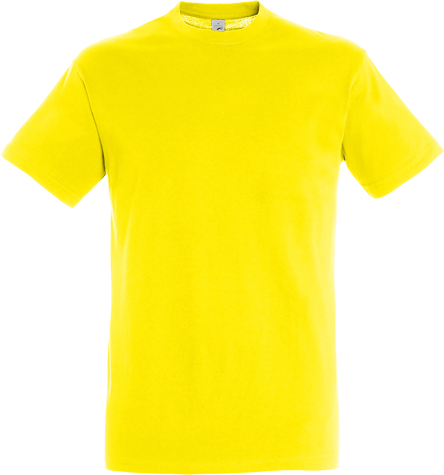 Regent T-Shirt 150
