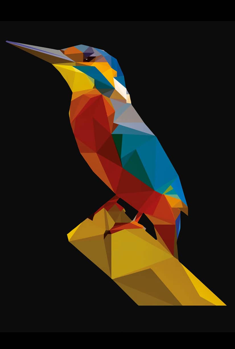 CAD-COLOR® Premium