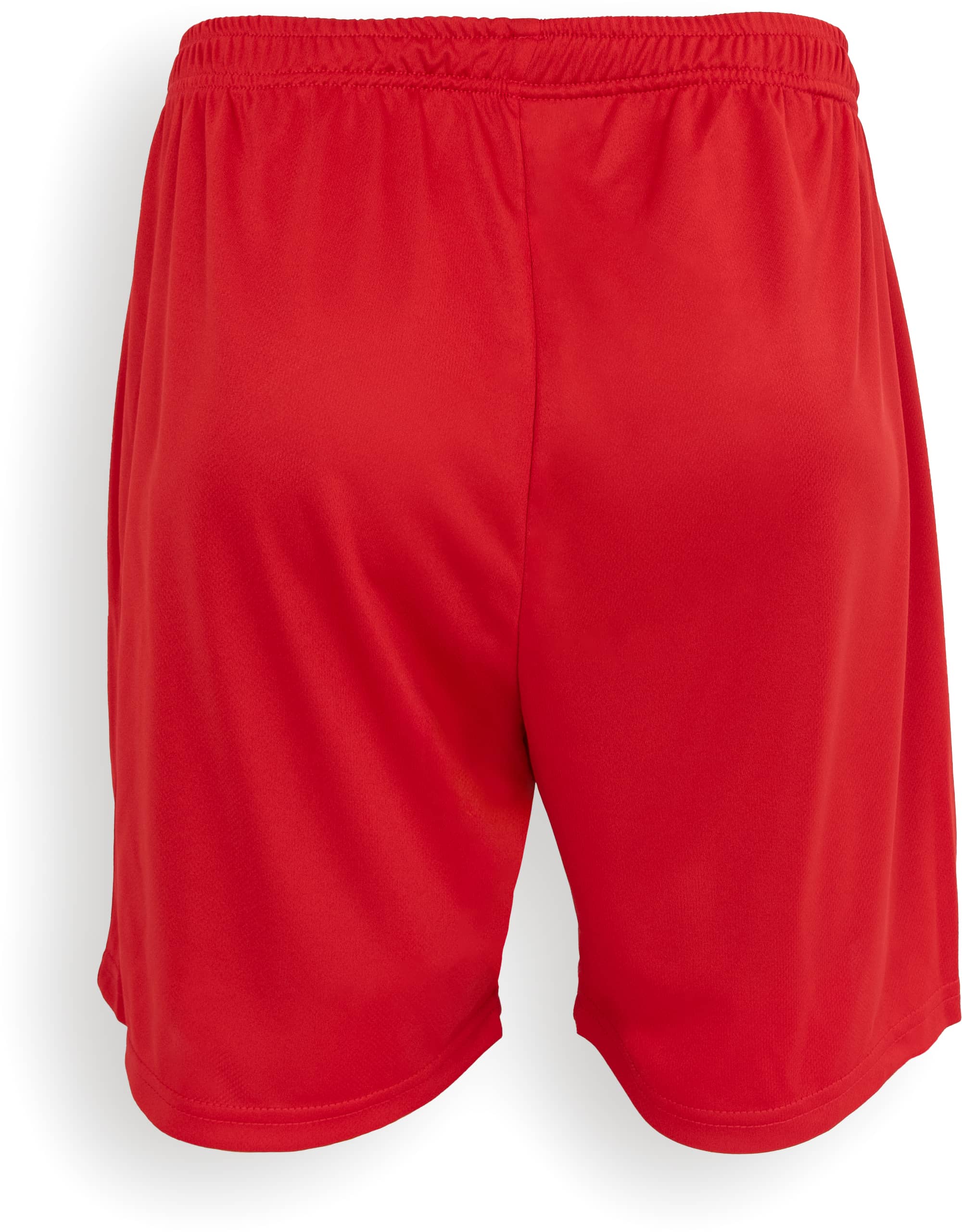 Kids Evolution Shorts