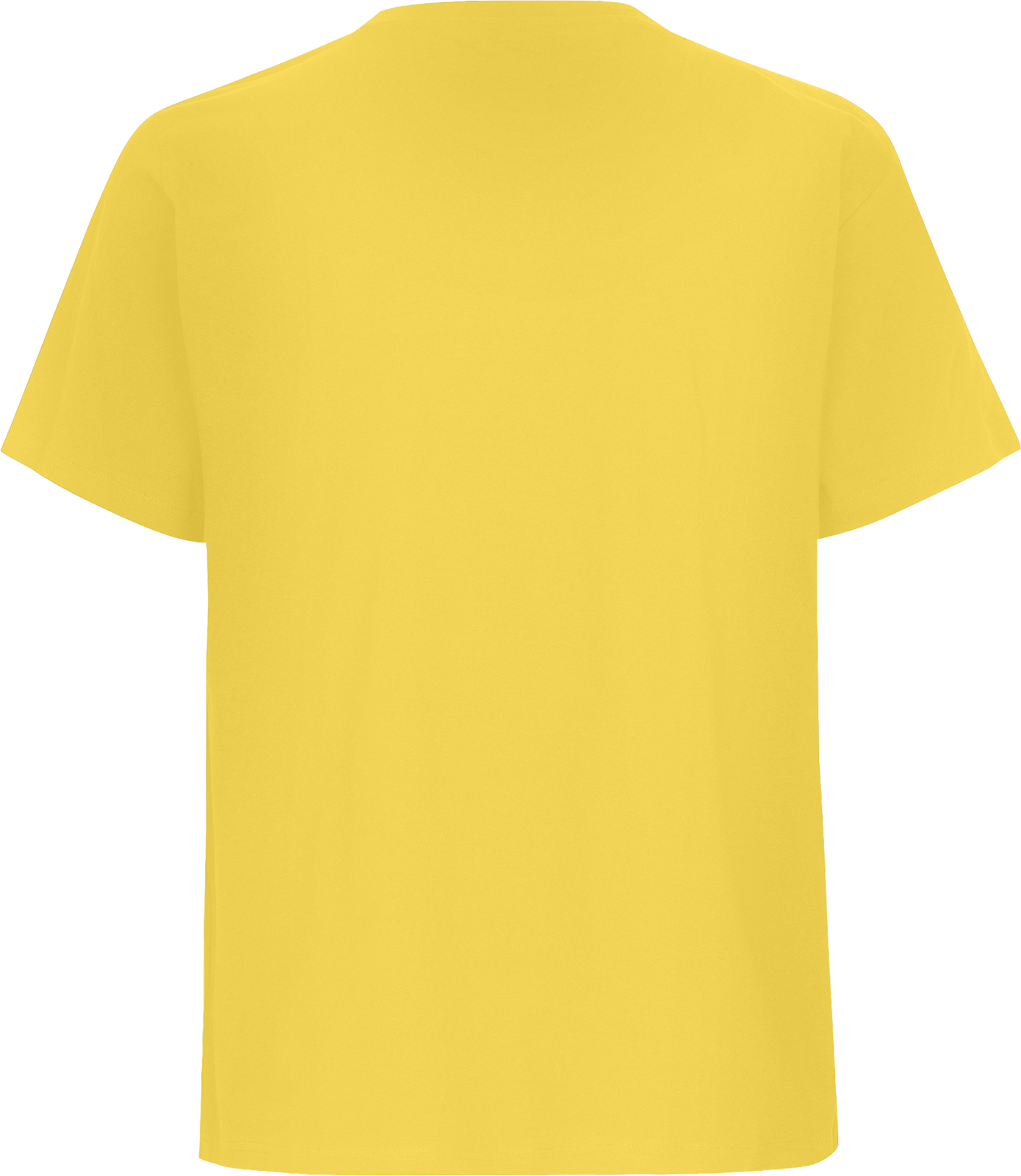 Unisex Regular T-Shirt