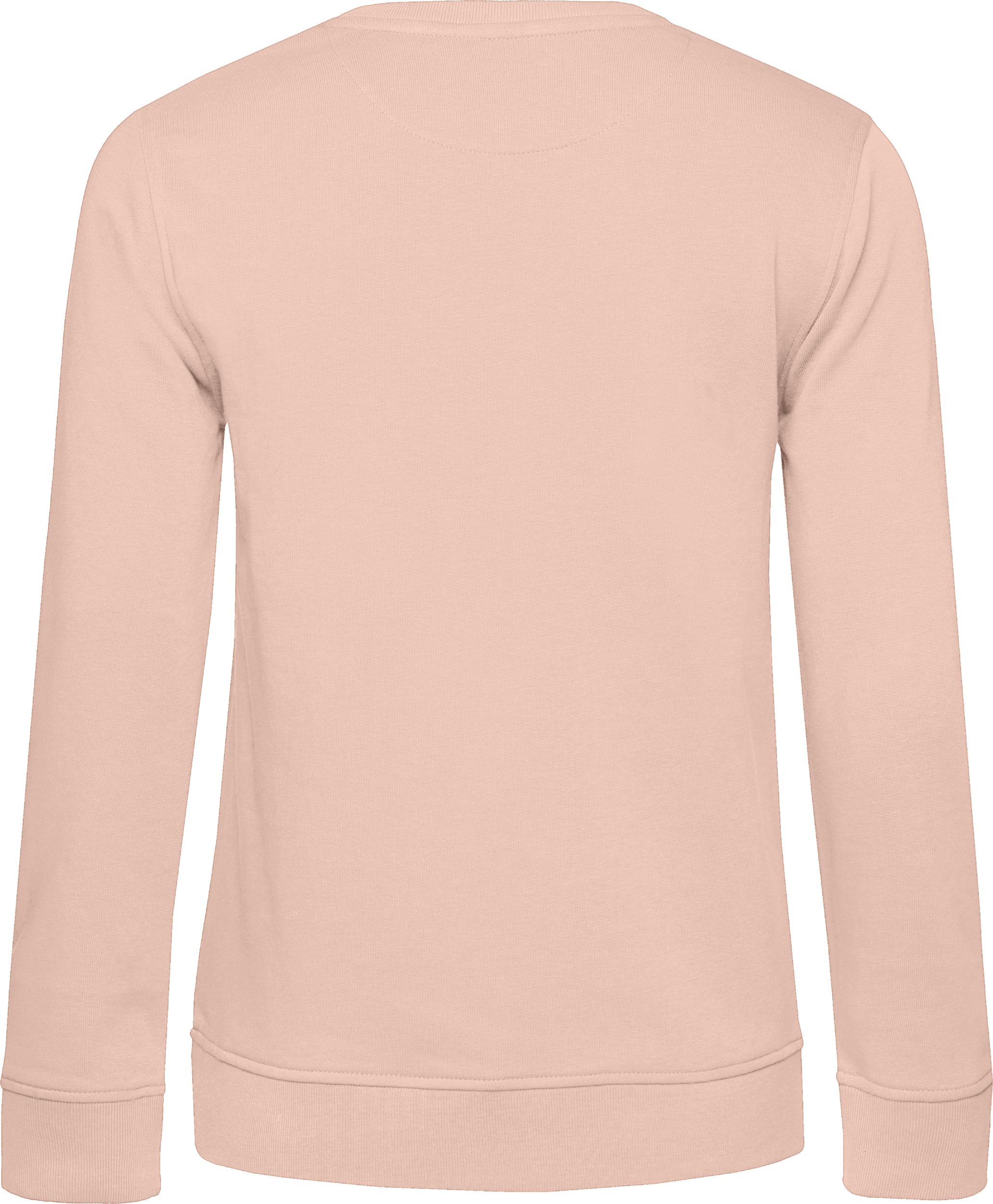 Inspire Crew Neck Sweat /Women_°