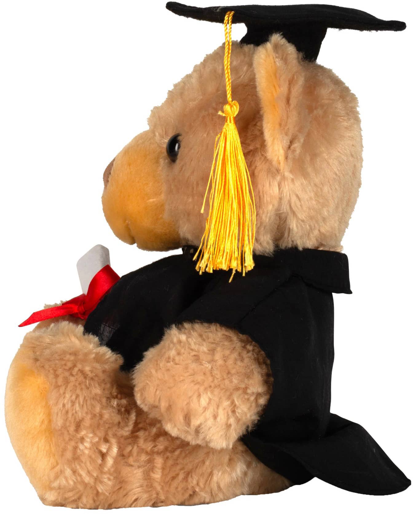 Graduation Bear