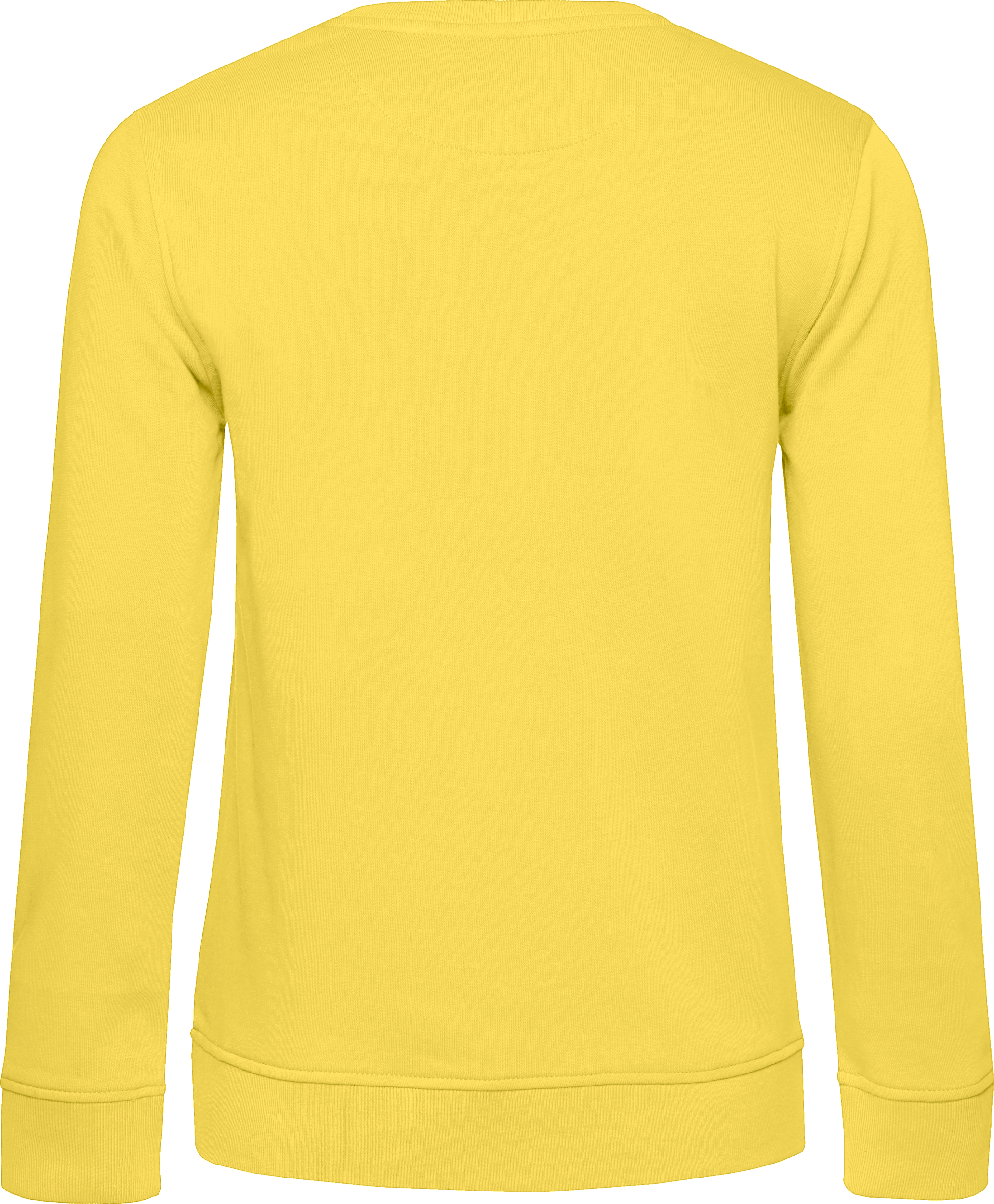 Inspire Crew Neck Sweat /Women_°