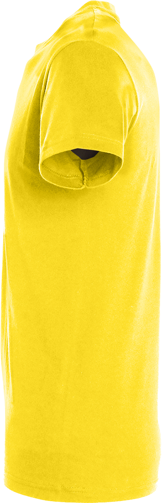 Regent T-Shirt 150