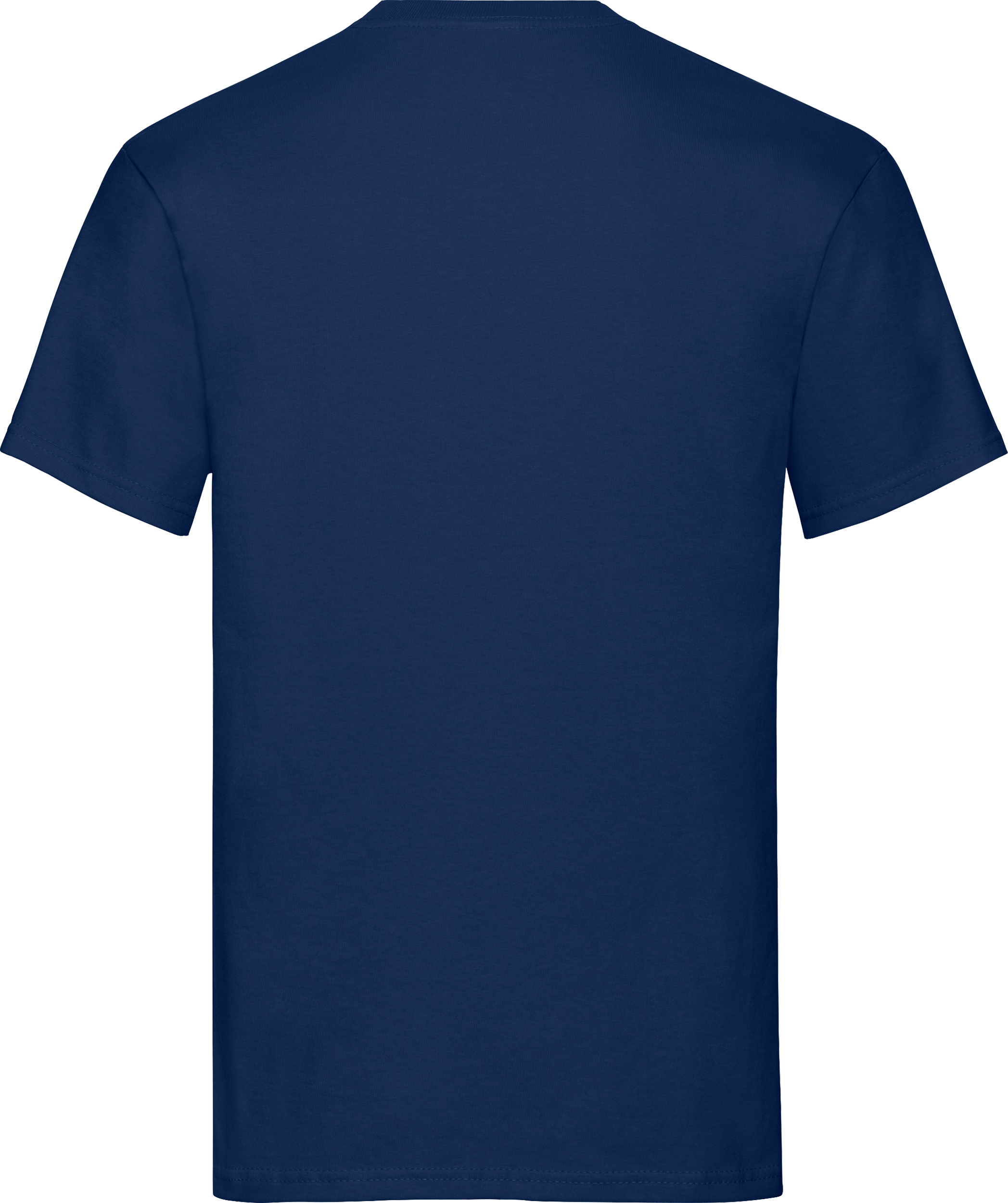 Heavy Cotton T