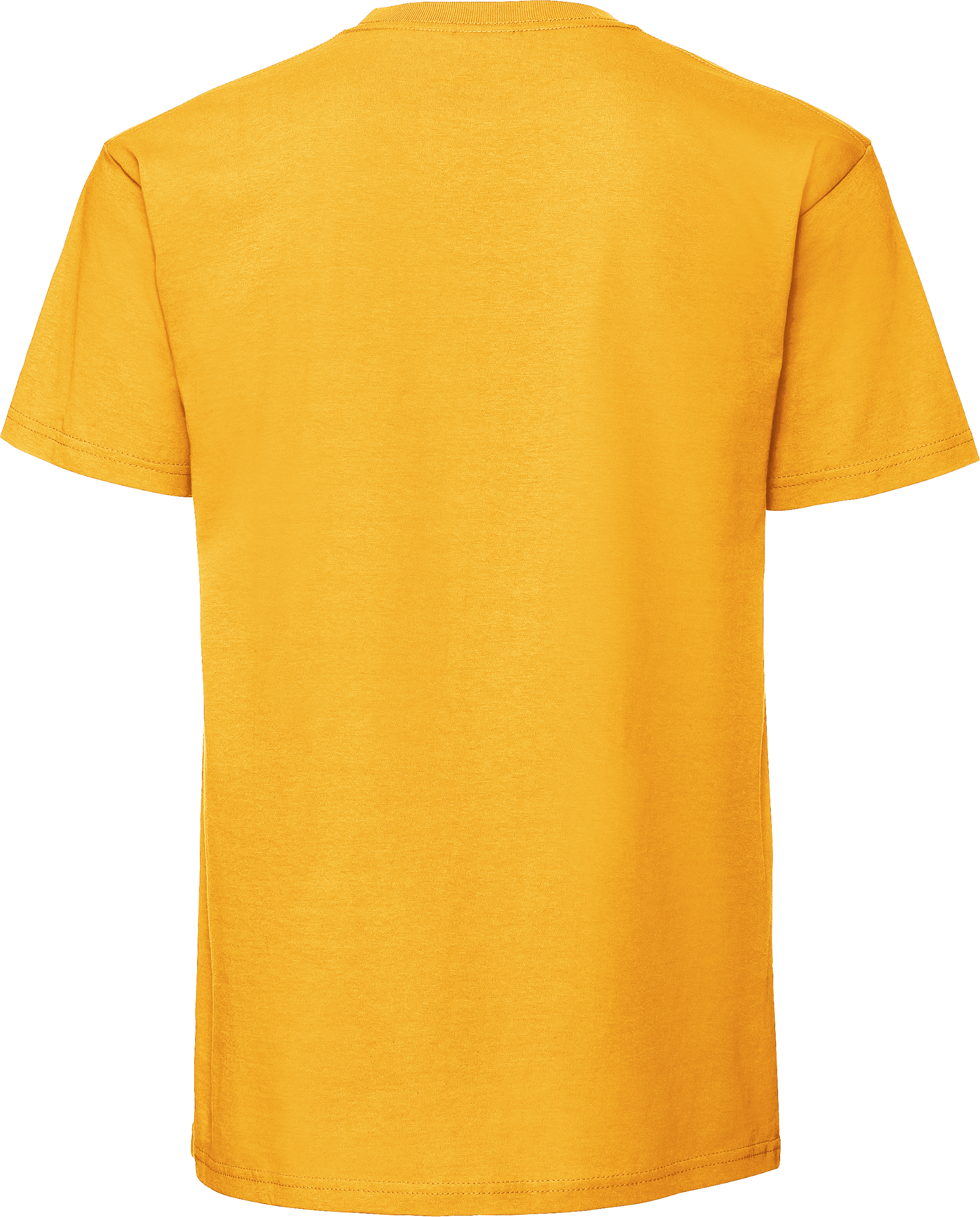 Iconic 195 Ringspun T