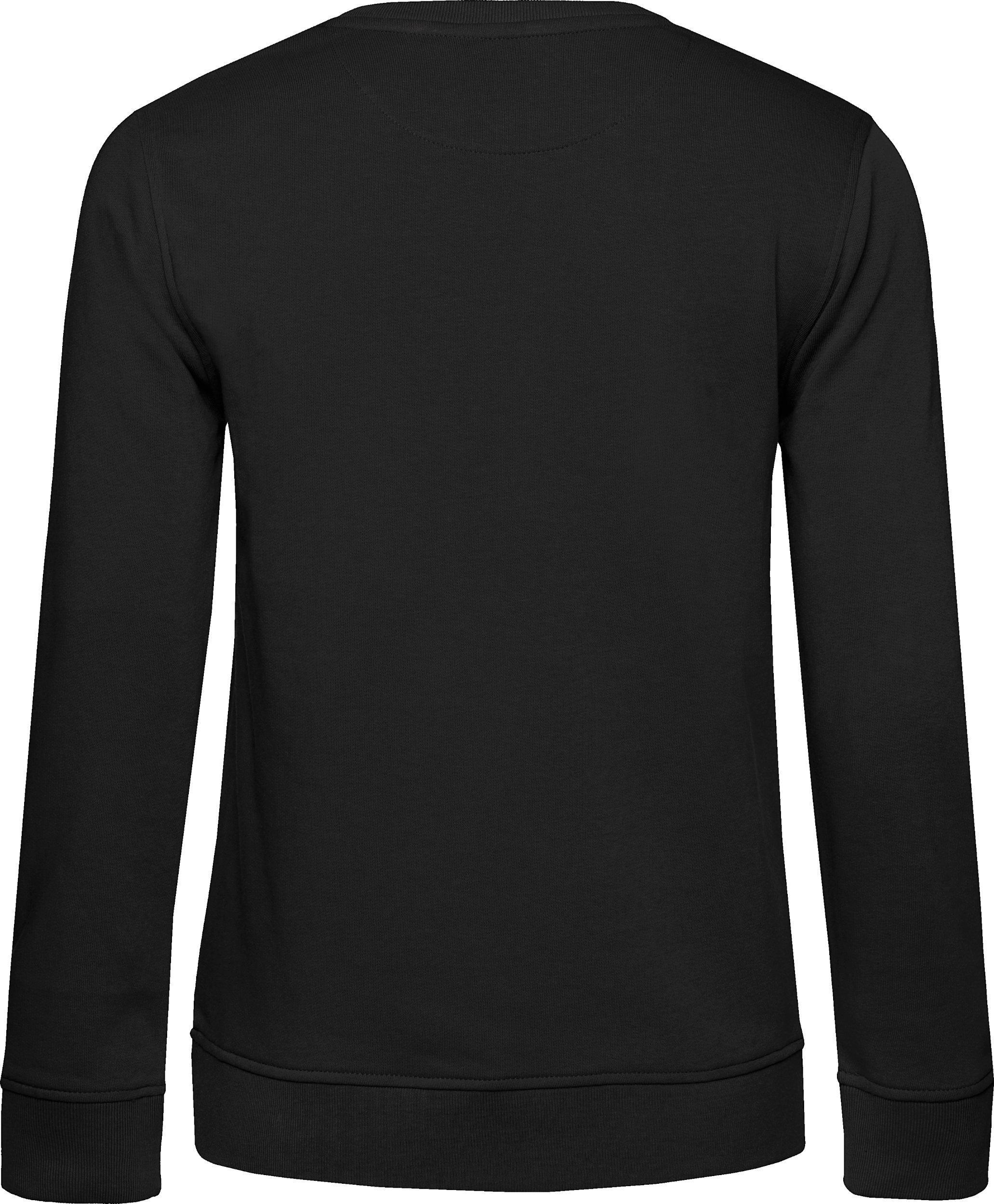 Inspire Crew Neck Sweat /Women_°