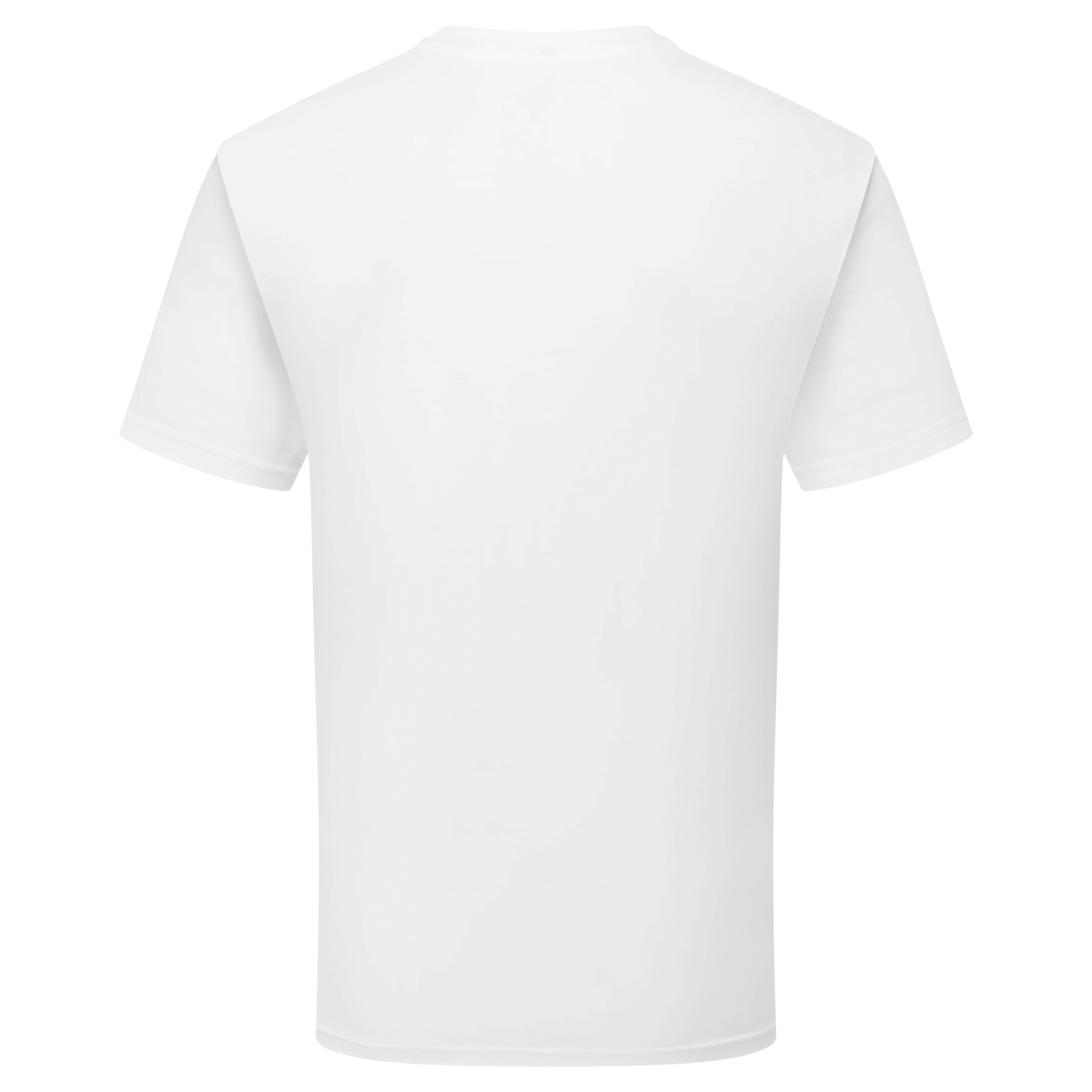 Pure Cotton T