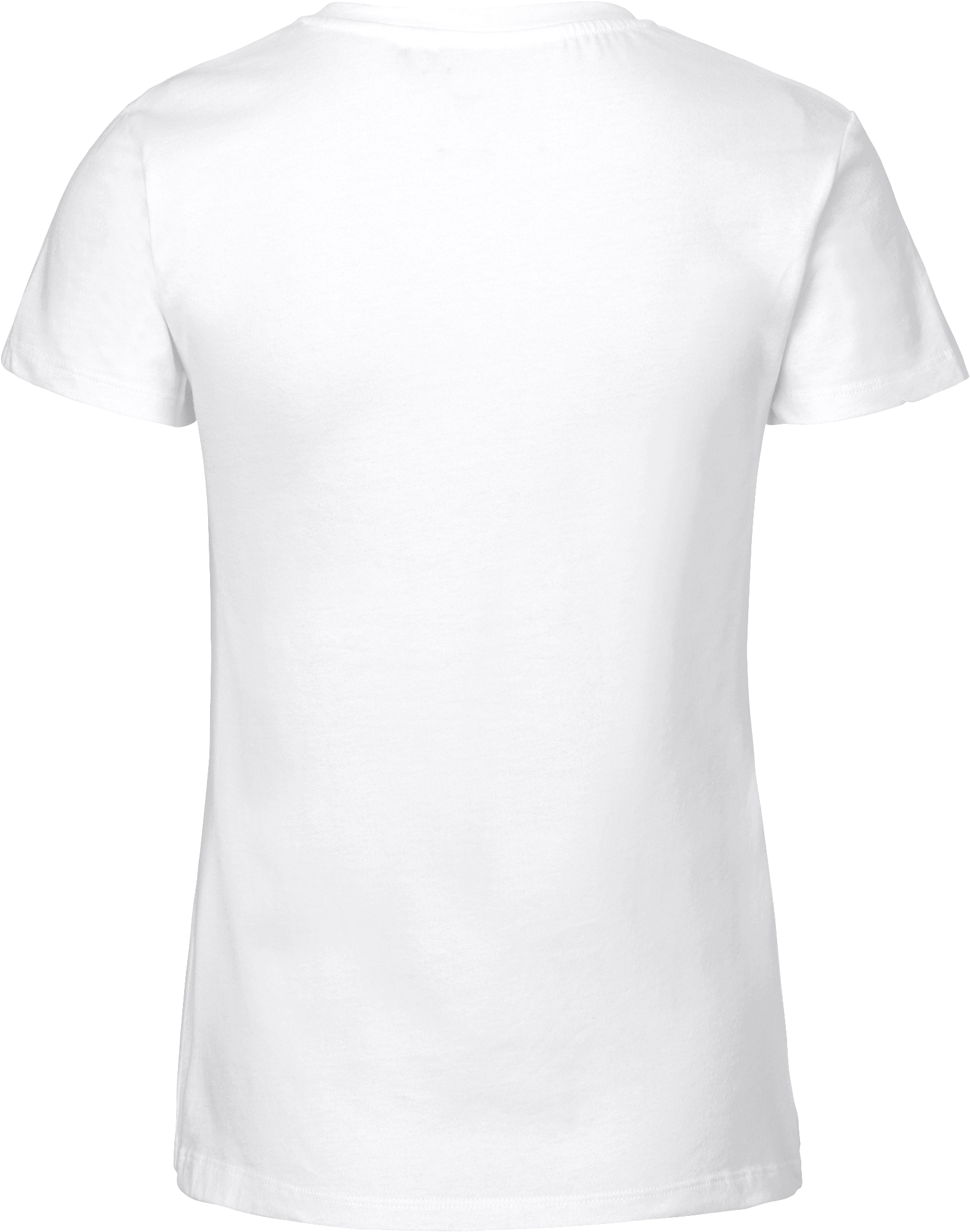 Ladies´ V-Neck T-Shirt