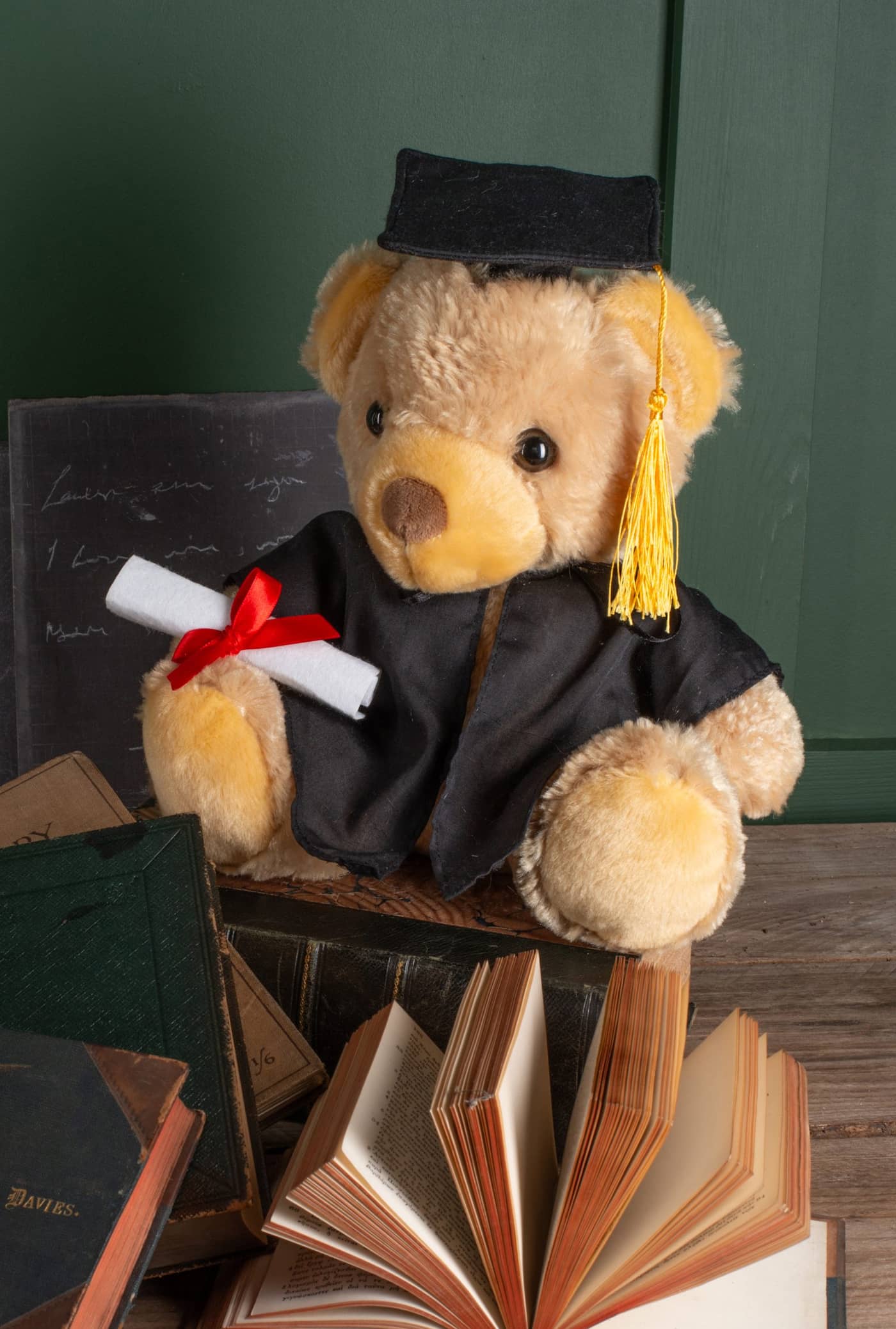 Graduation Bear