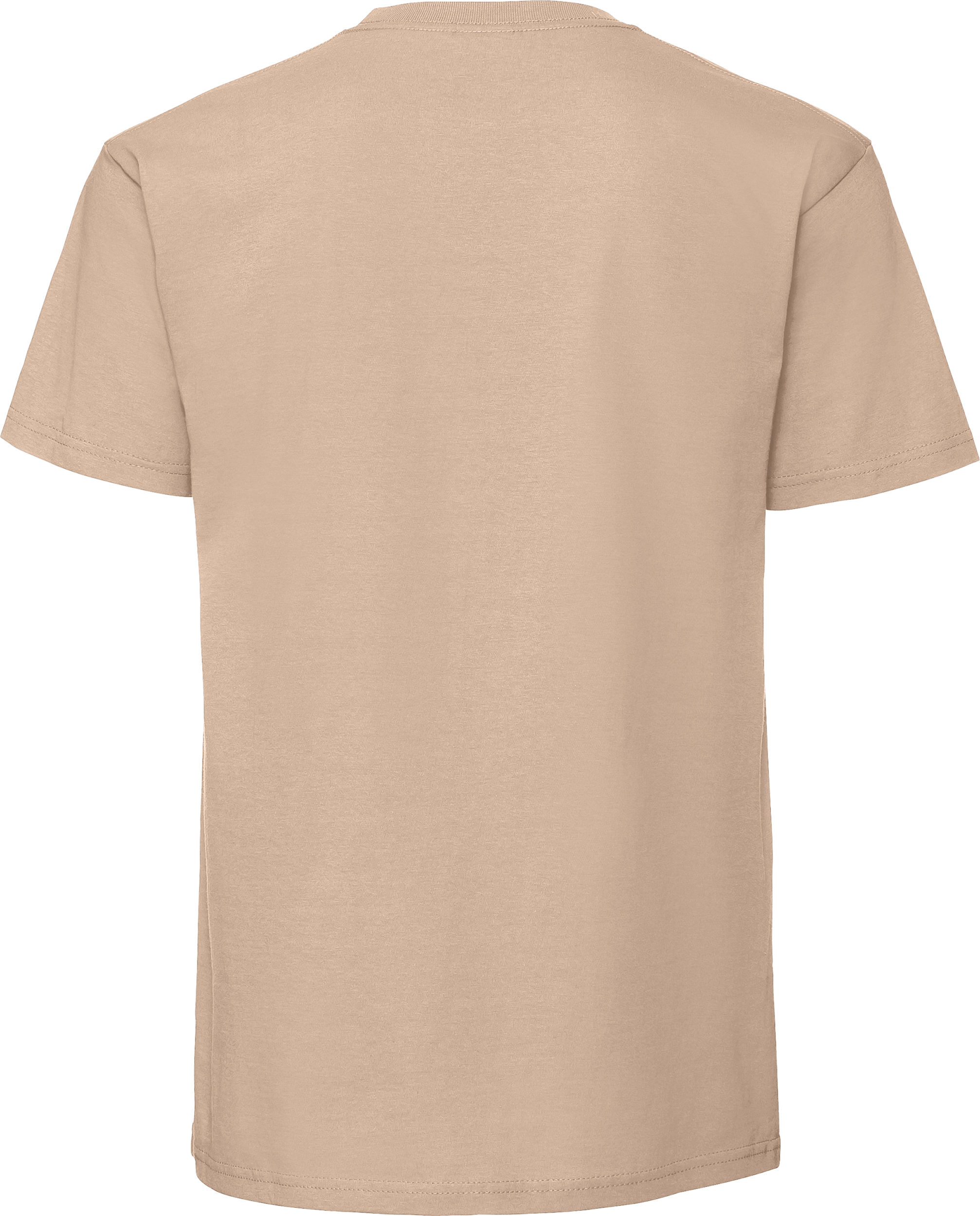 Iconic 195 Ringspun T