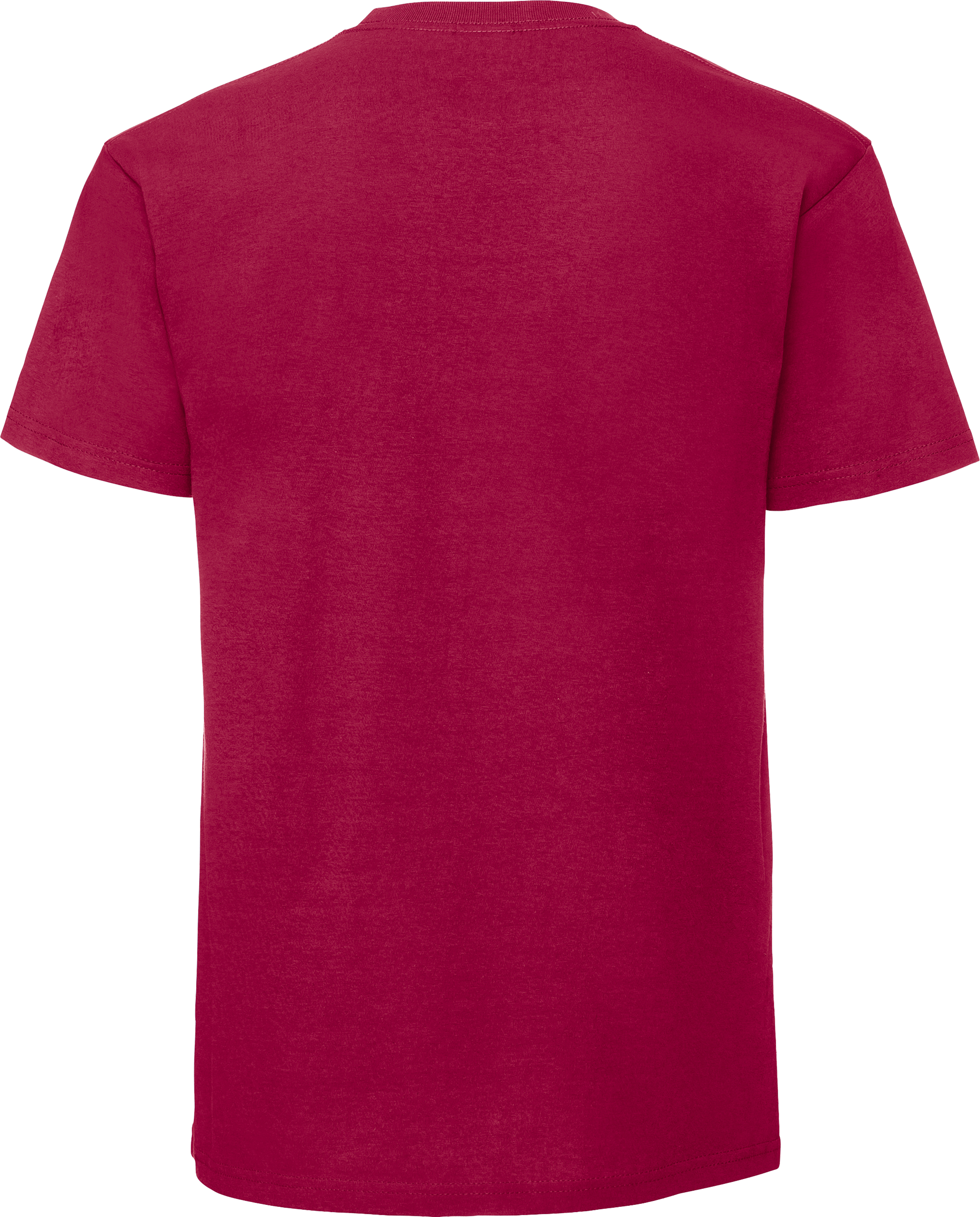 Iconic 195 Ringspun T