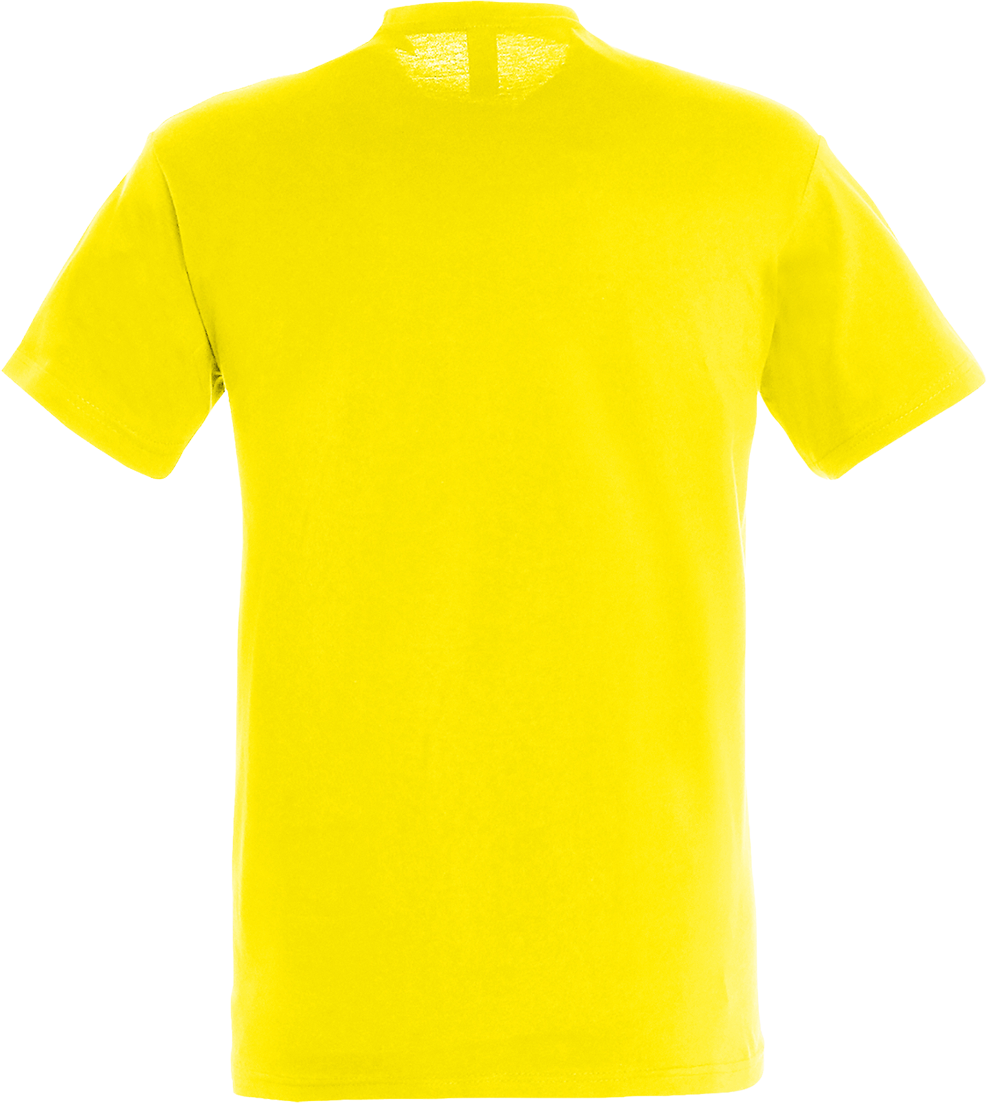 Regent T-Shirt 150