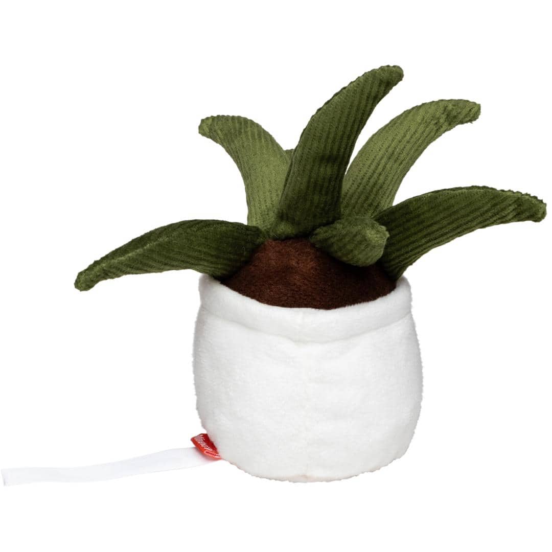 Schmoozies® Evergreenies® Aloe Vera