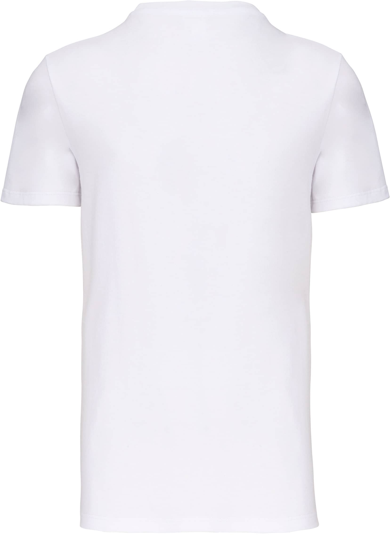 Herren Bio-T-Shirt "Origine France Garantie"