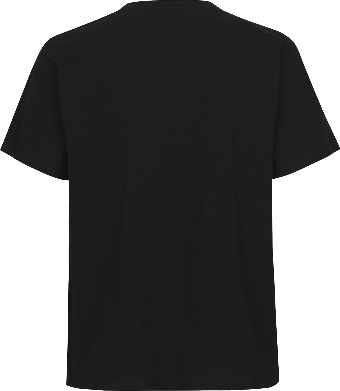 Unisex Regular T-Shirt