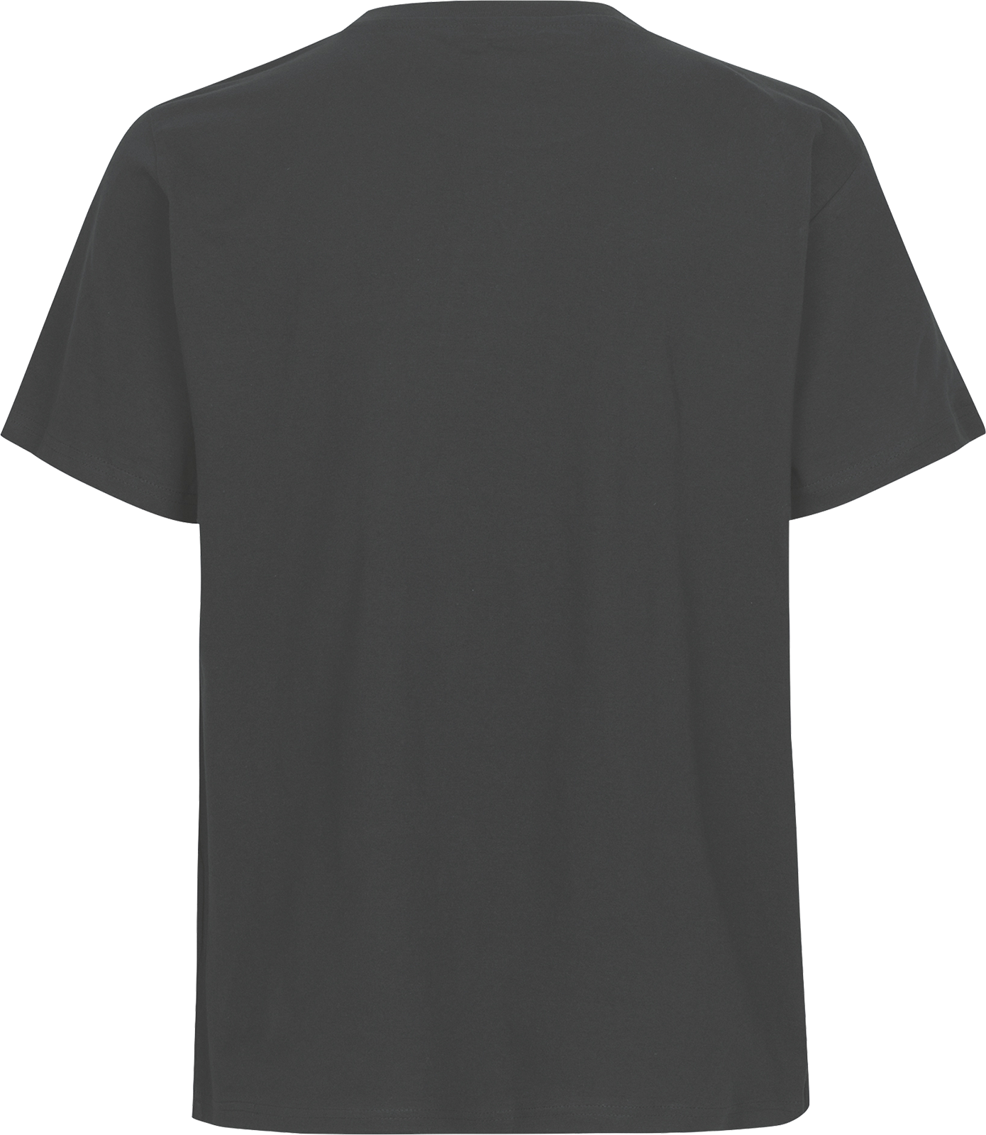 Unisex Regular T-Shirt