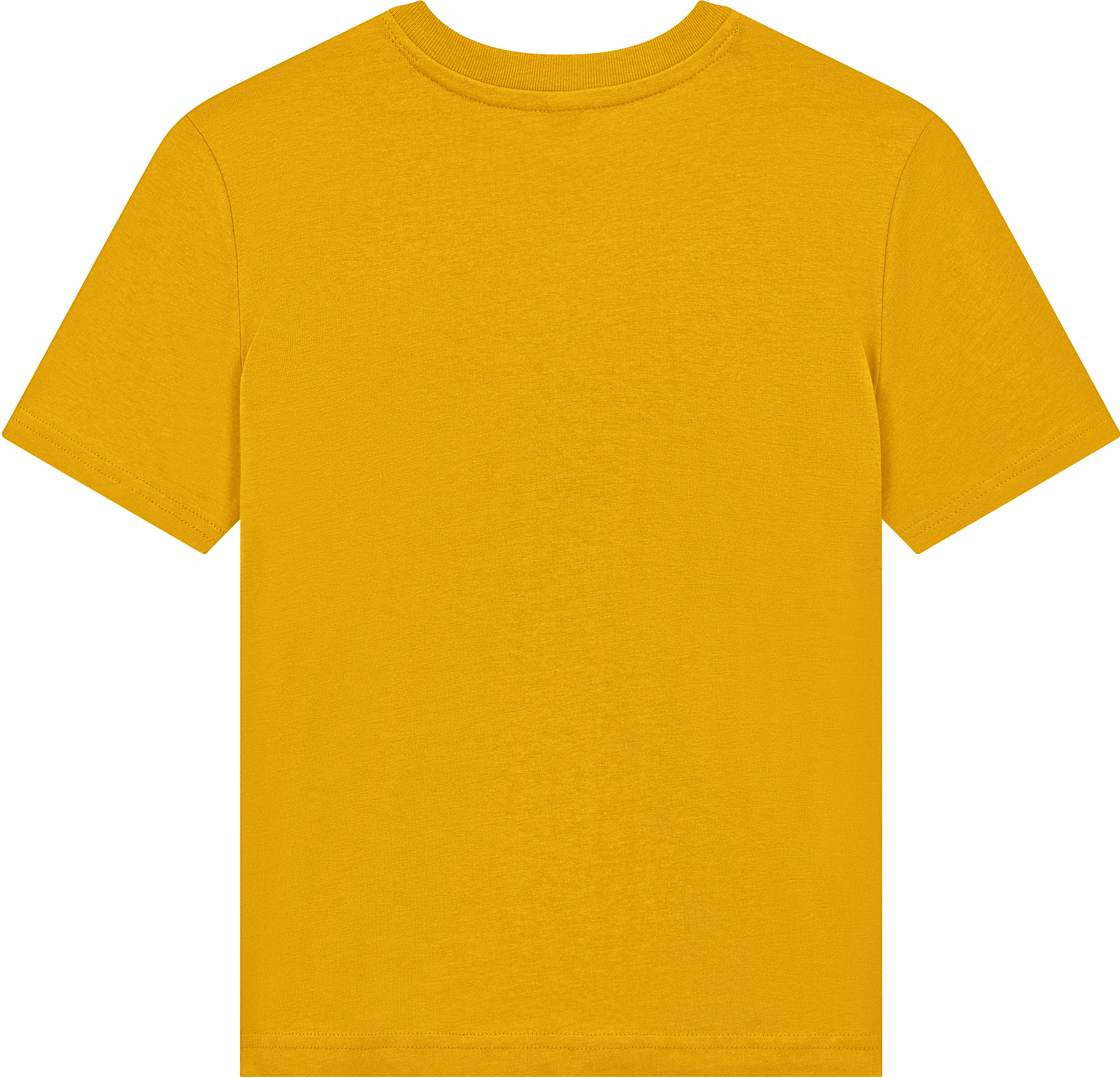 Junior Classic Organic T-Shirt