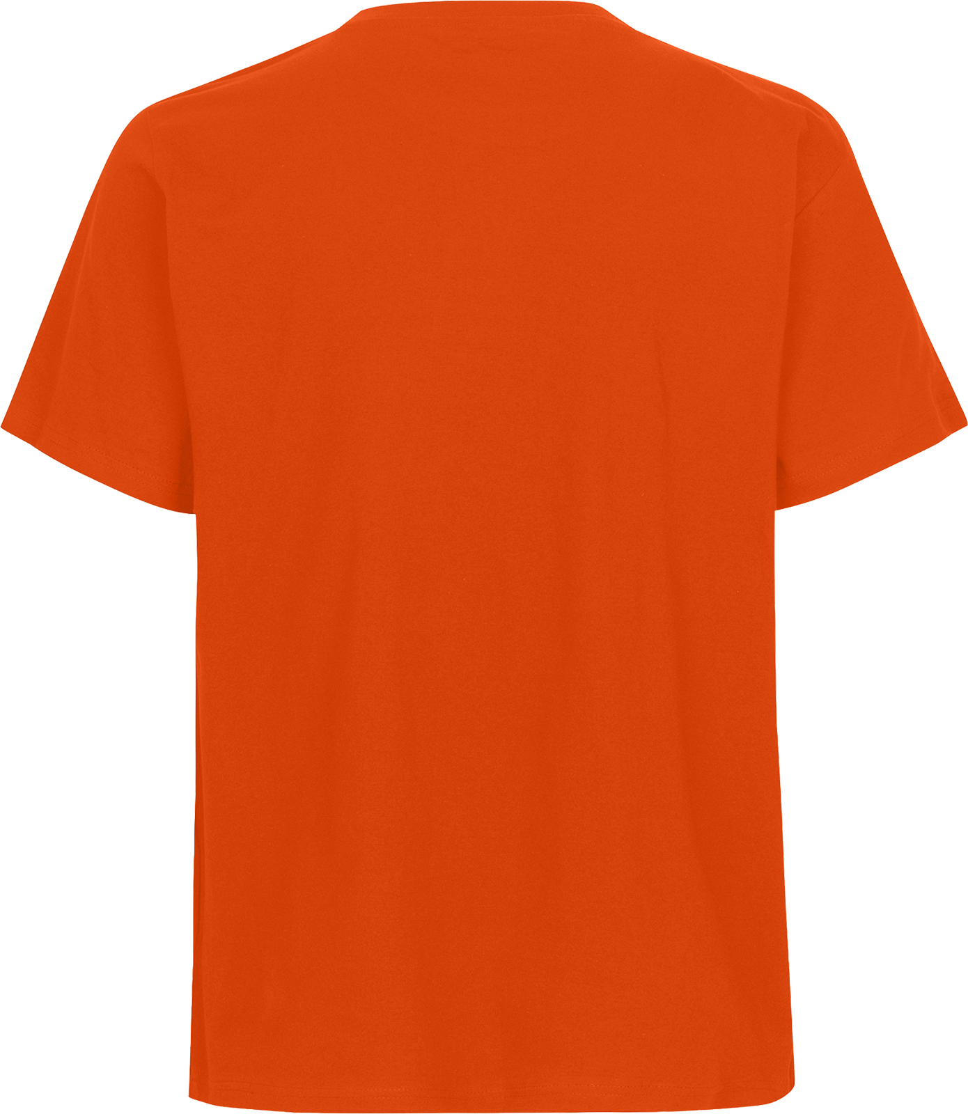 Unisex Regular T-Shirt