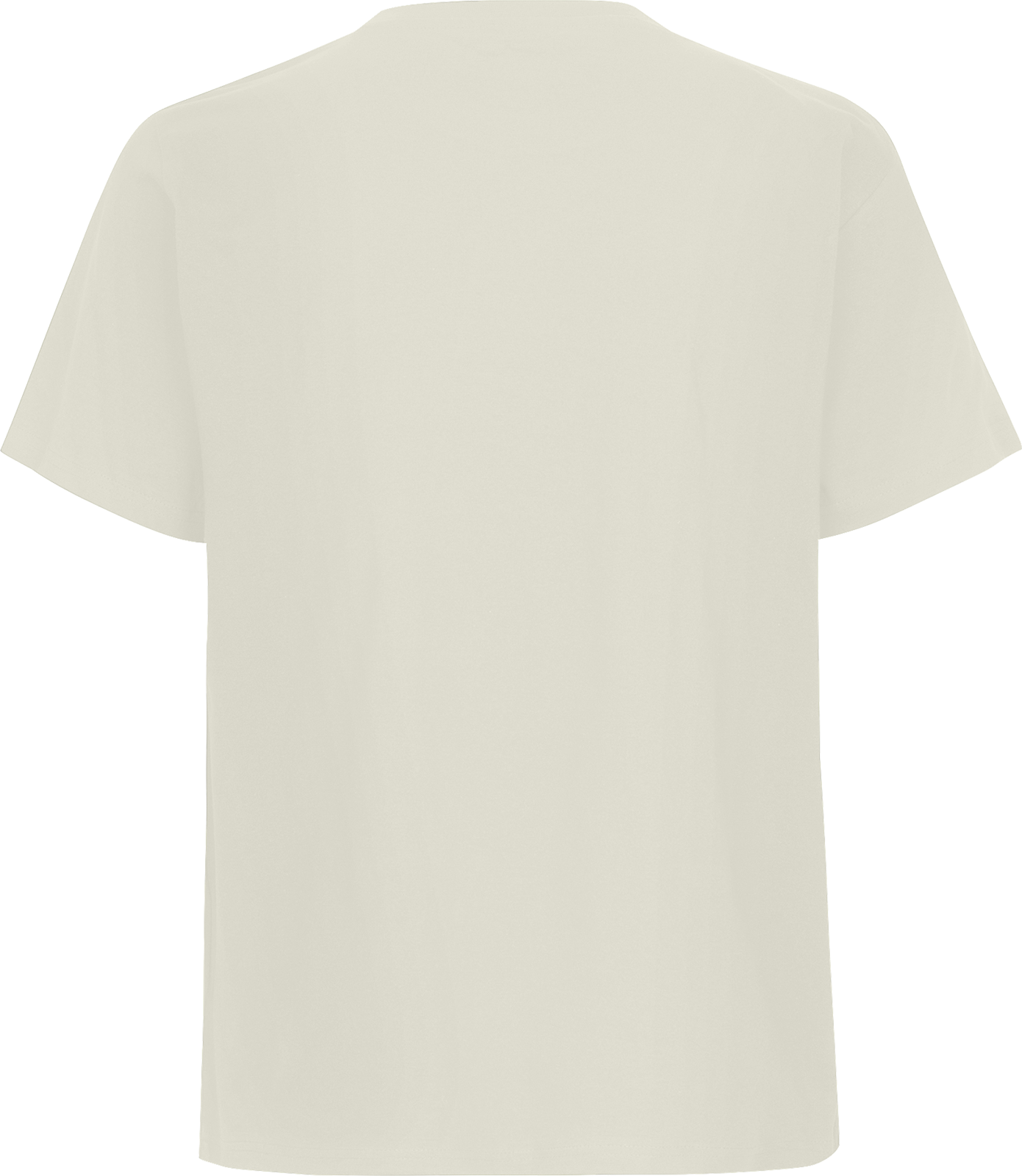 Unisex Regular T-Shirt