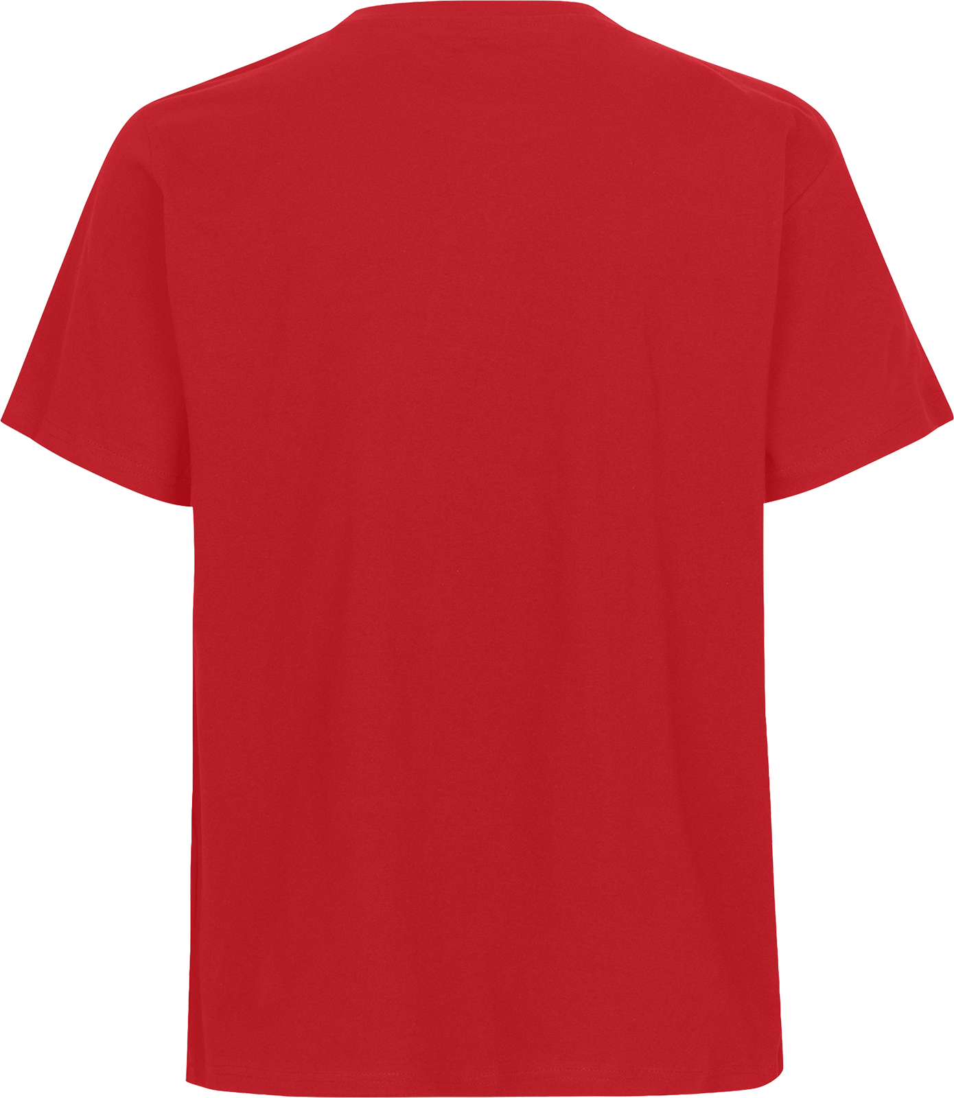 Unisex Regular T-Shirt