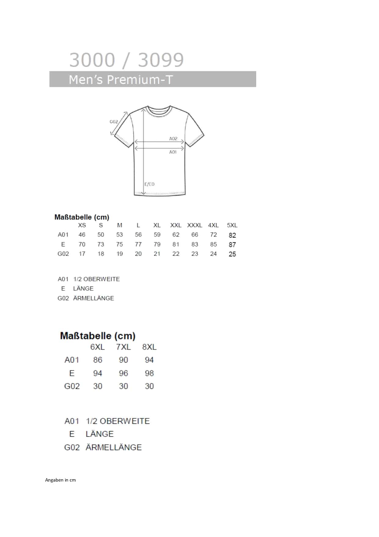 Men´s Premium-T