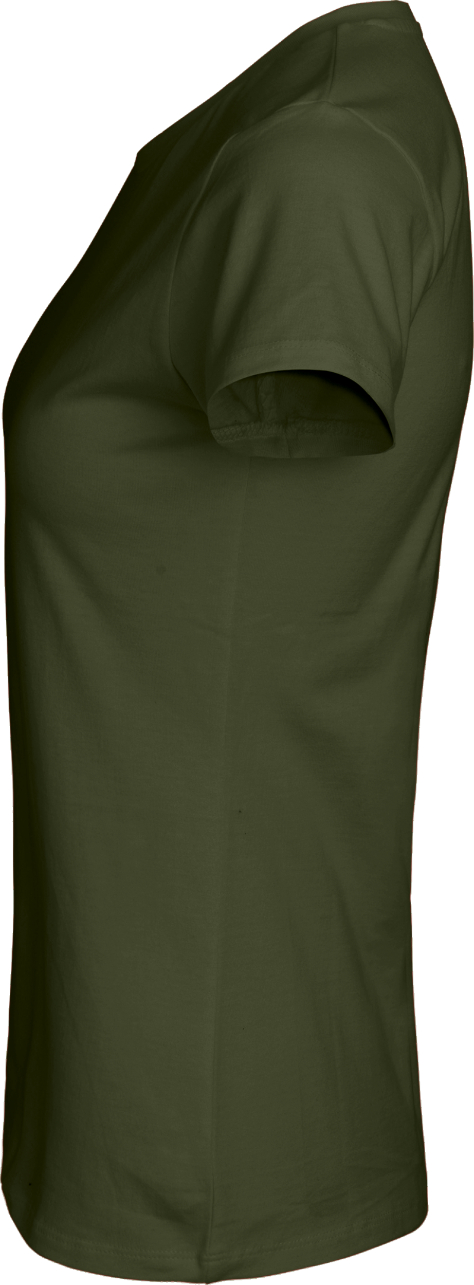Ladies´ Classic T-Shirt