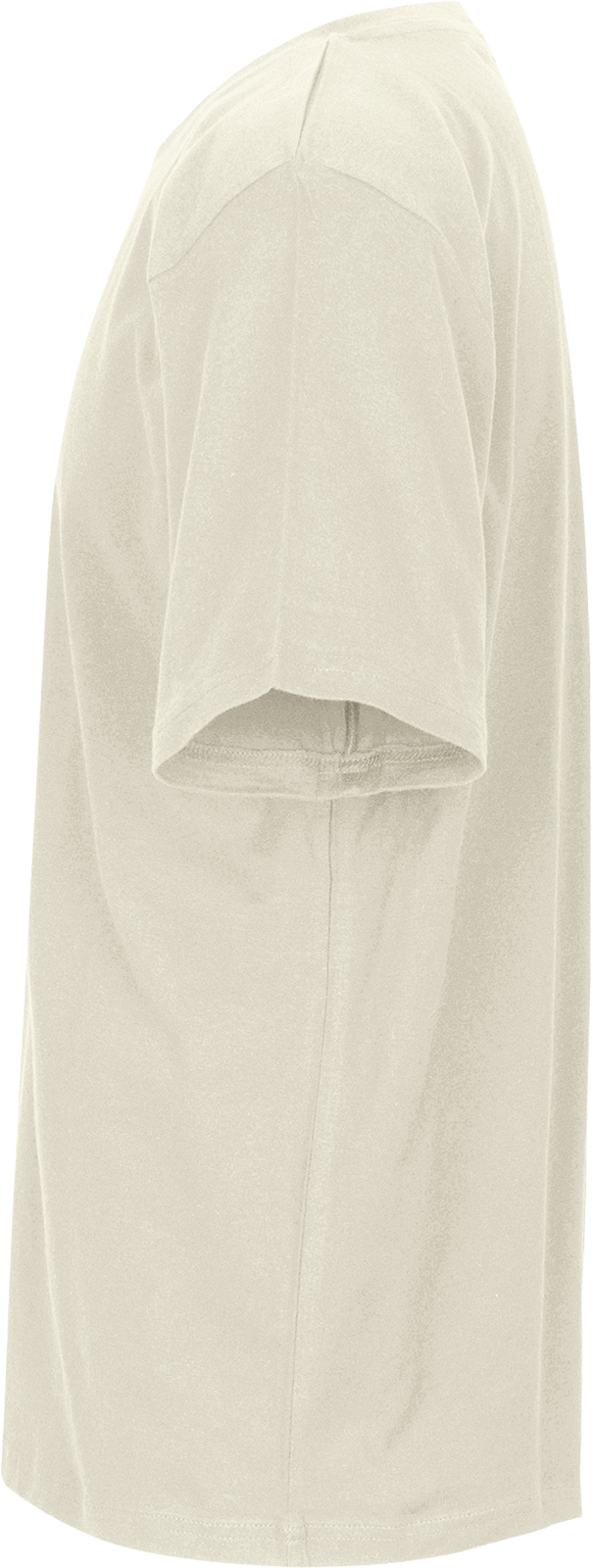 Unisex Regular T-Shirt