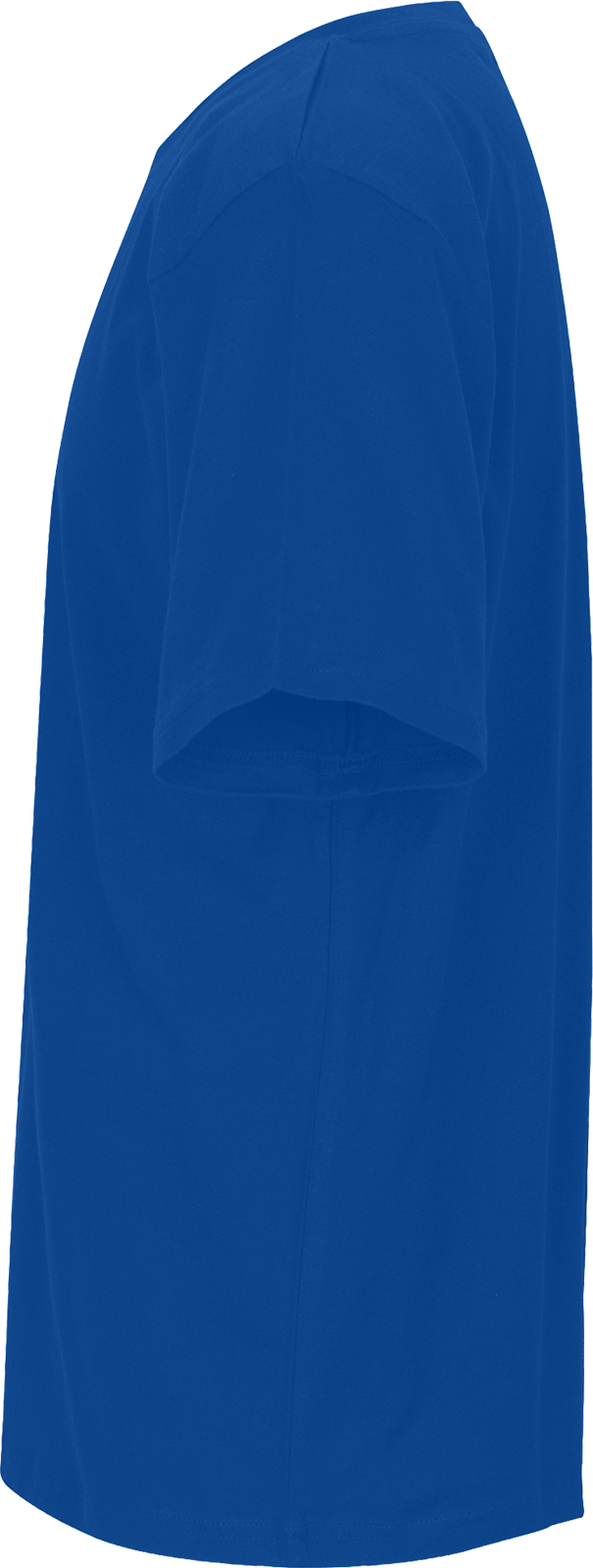 Unisex Regular T-Shirt