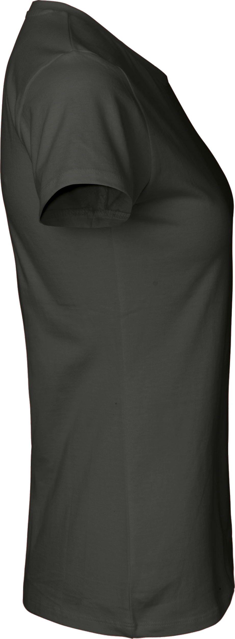 Ladies´ Classic T-Shirt