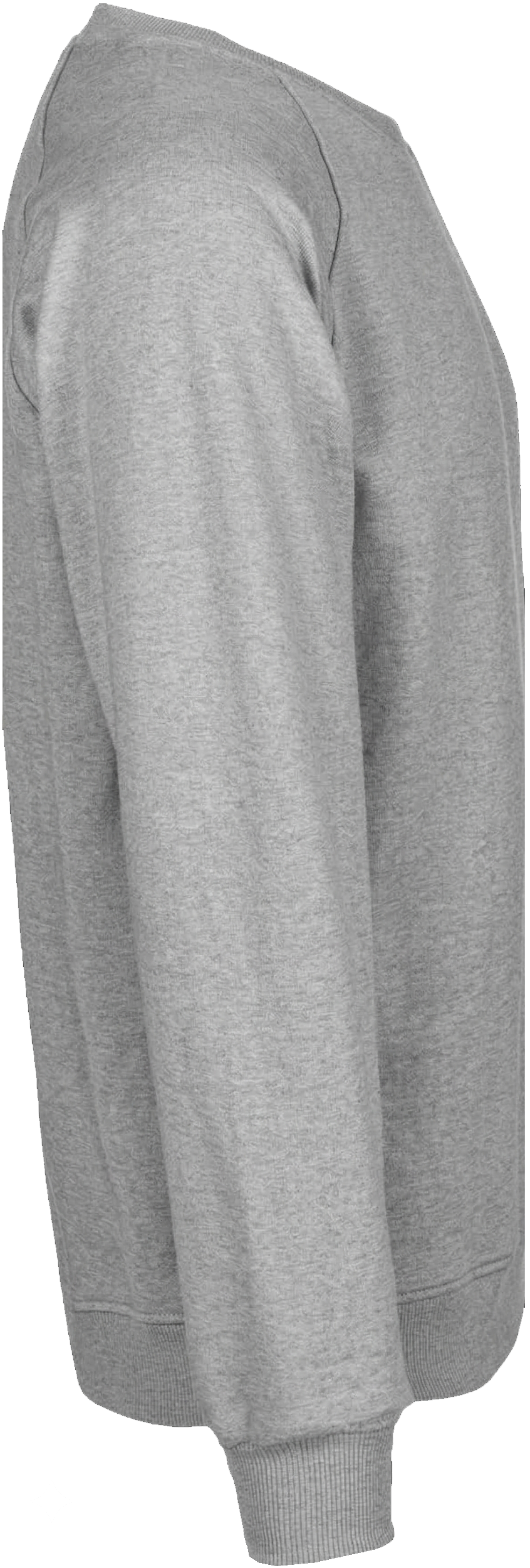 Unisex Tiger Cotton Sweatshirt