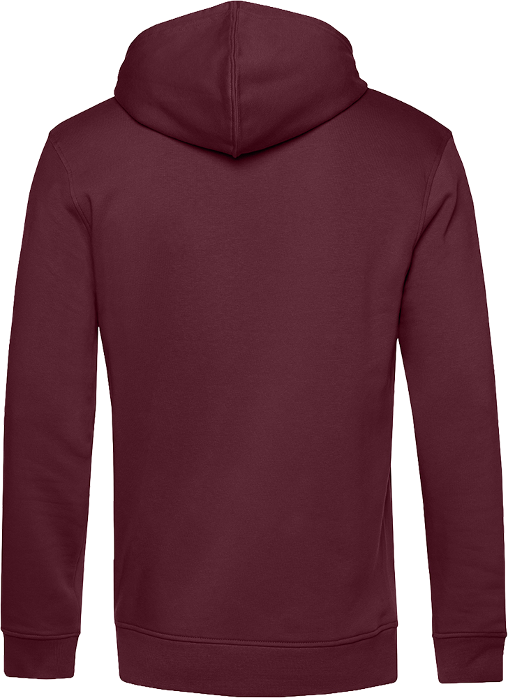 Inspire Hooded Sweat_°