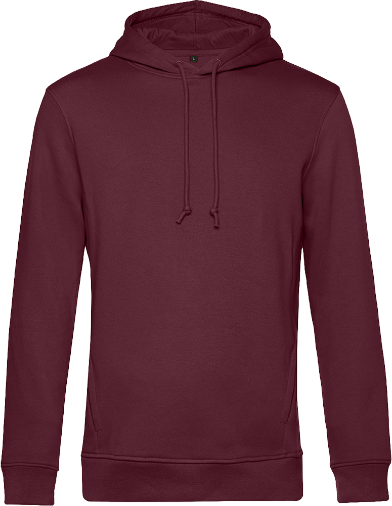 Inspire Hooded Sweat_°