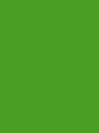 Polyneon 40 Green (5.000 m)