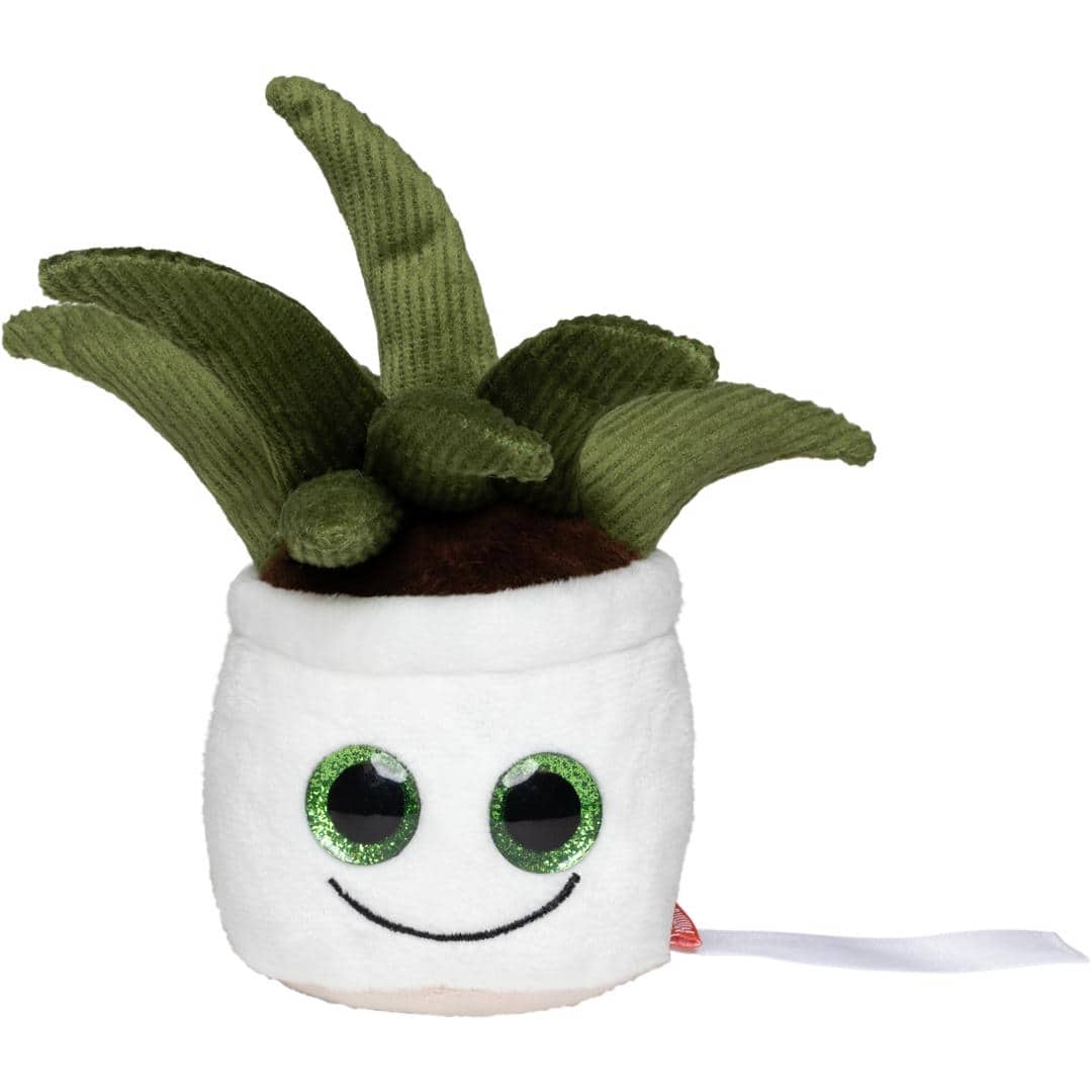 Schmoozies® Evergreenies® Aloe Vera
