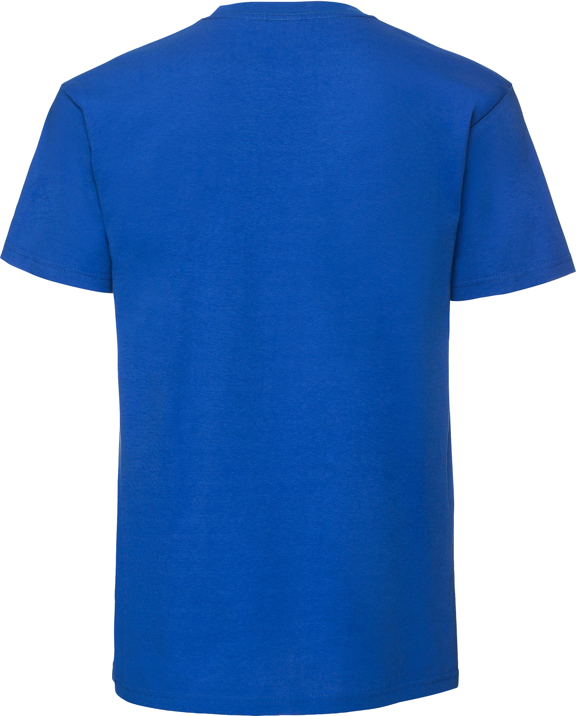 Iconic 195 Ringspun T