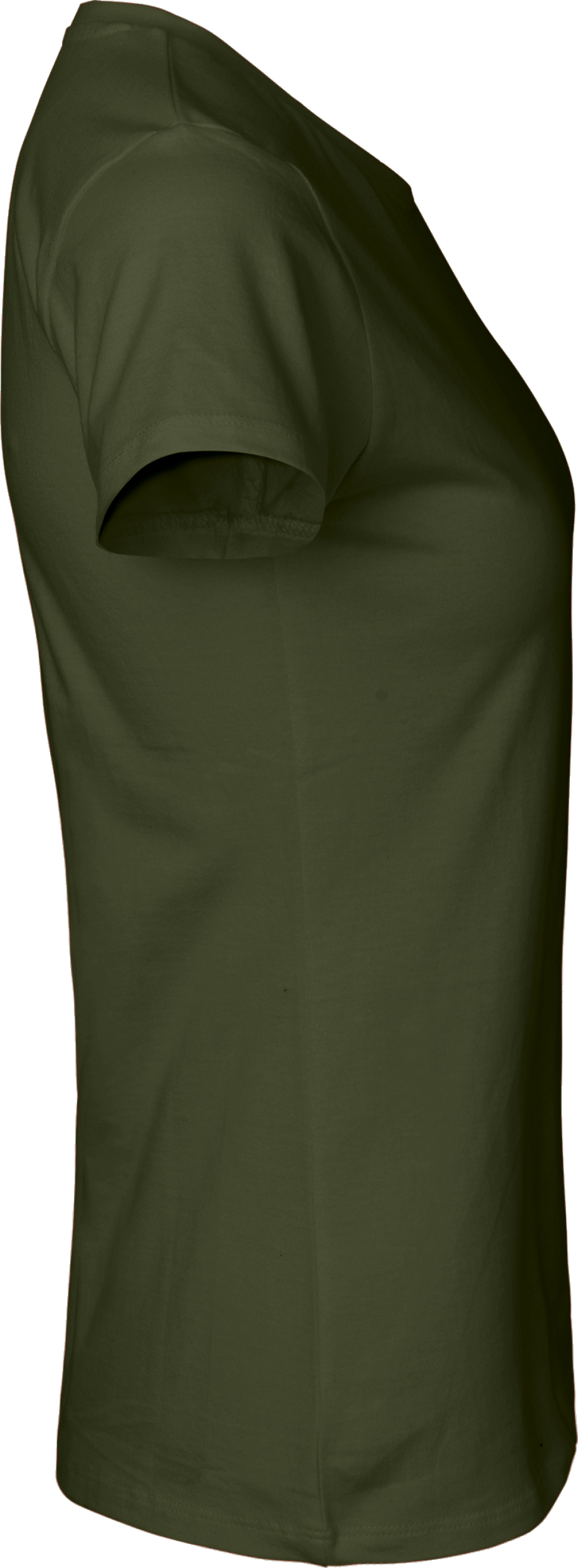 Ladies´ Classic T-Shirt
