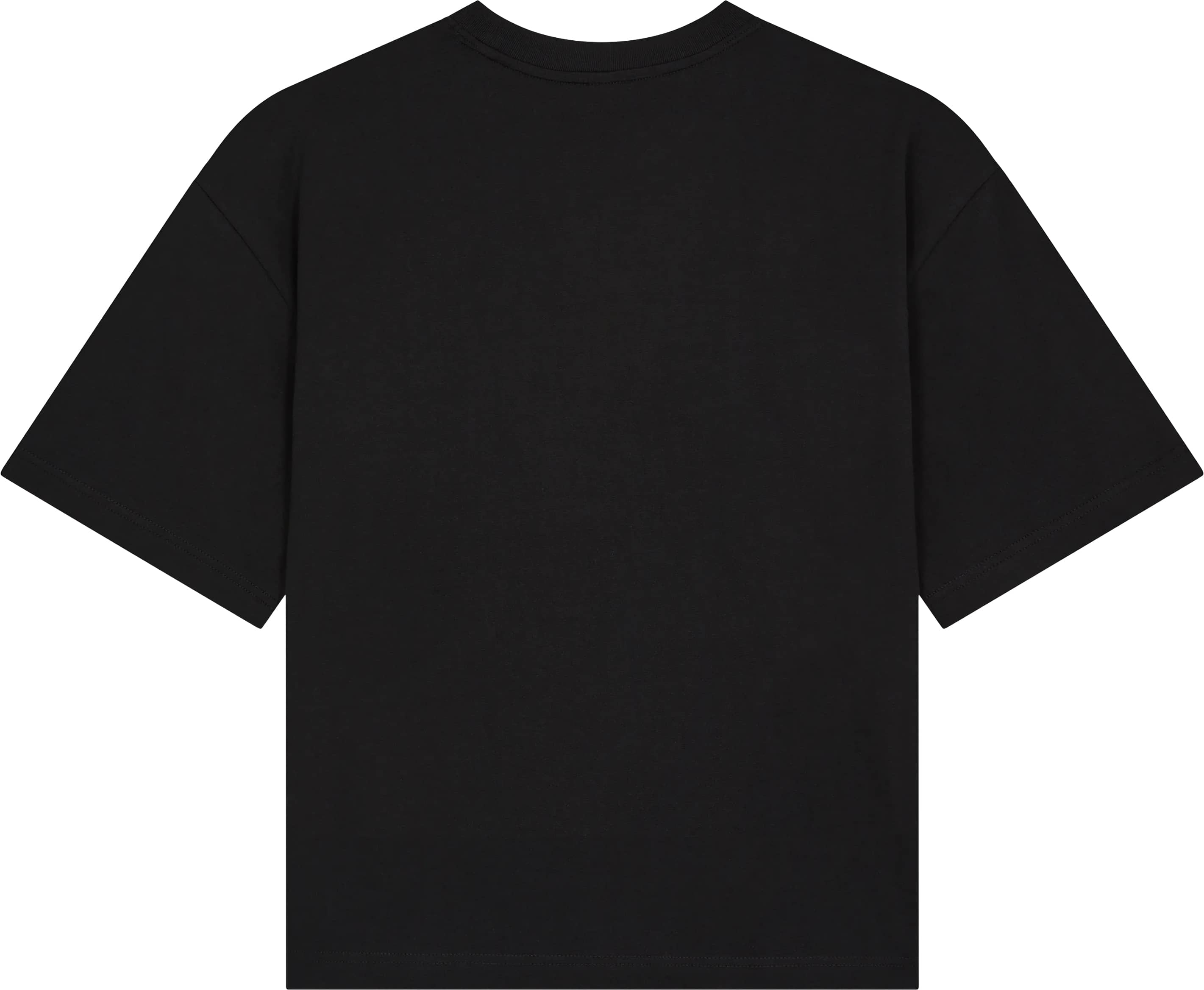 Women’s Heavy Boxy T-Shirt