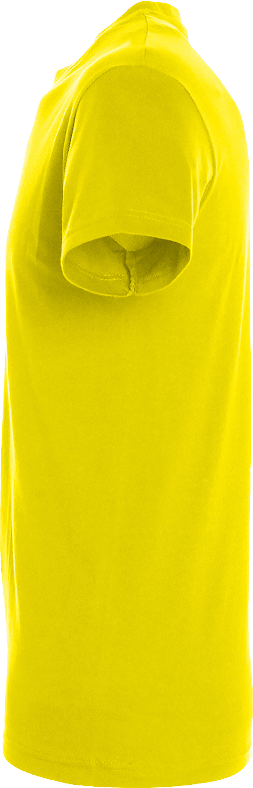 Regent T-Shirt 150