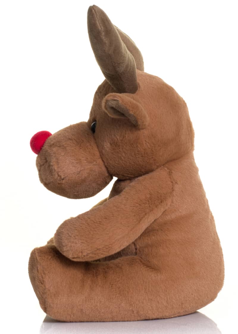 Reindeer