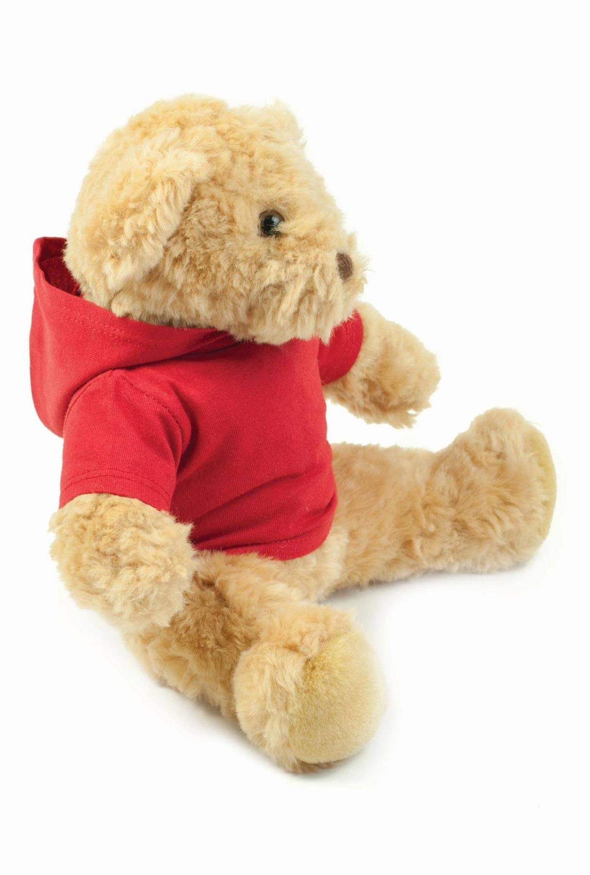 Teddy Hoodie