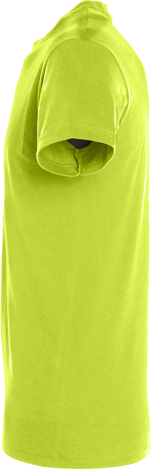 Regent T-Shirt 150