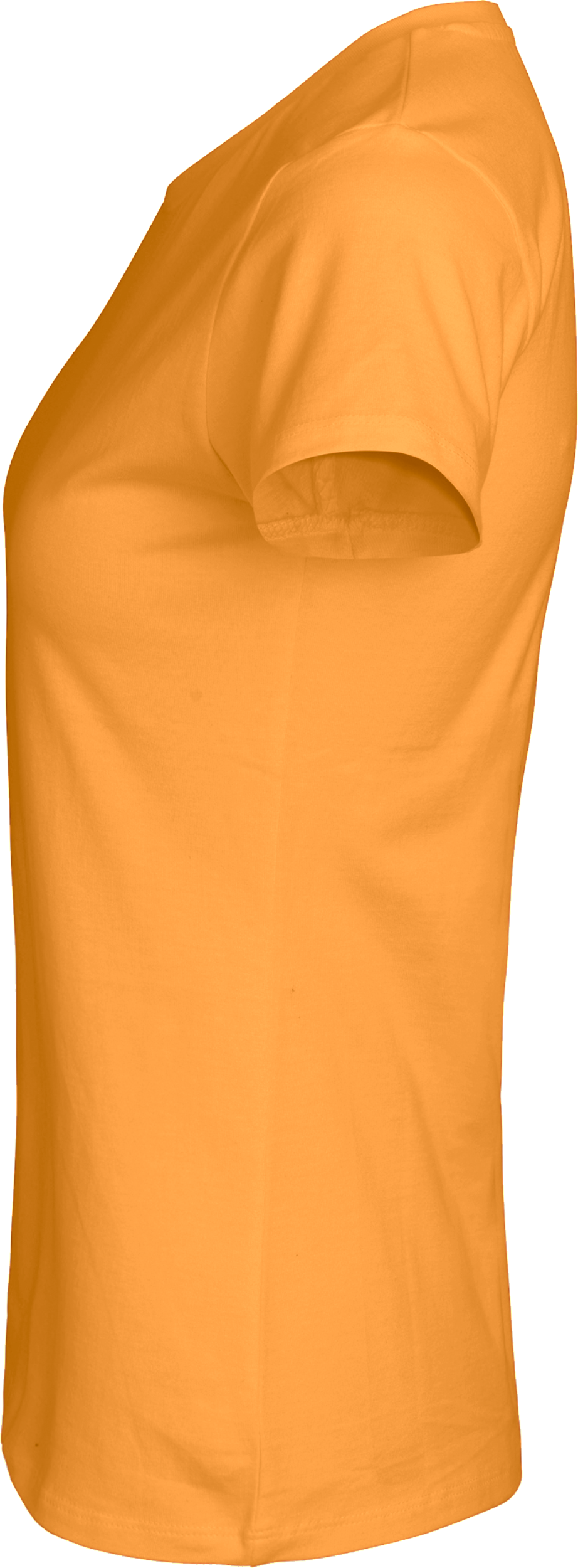 Ladies´ Classic T-Shirt