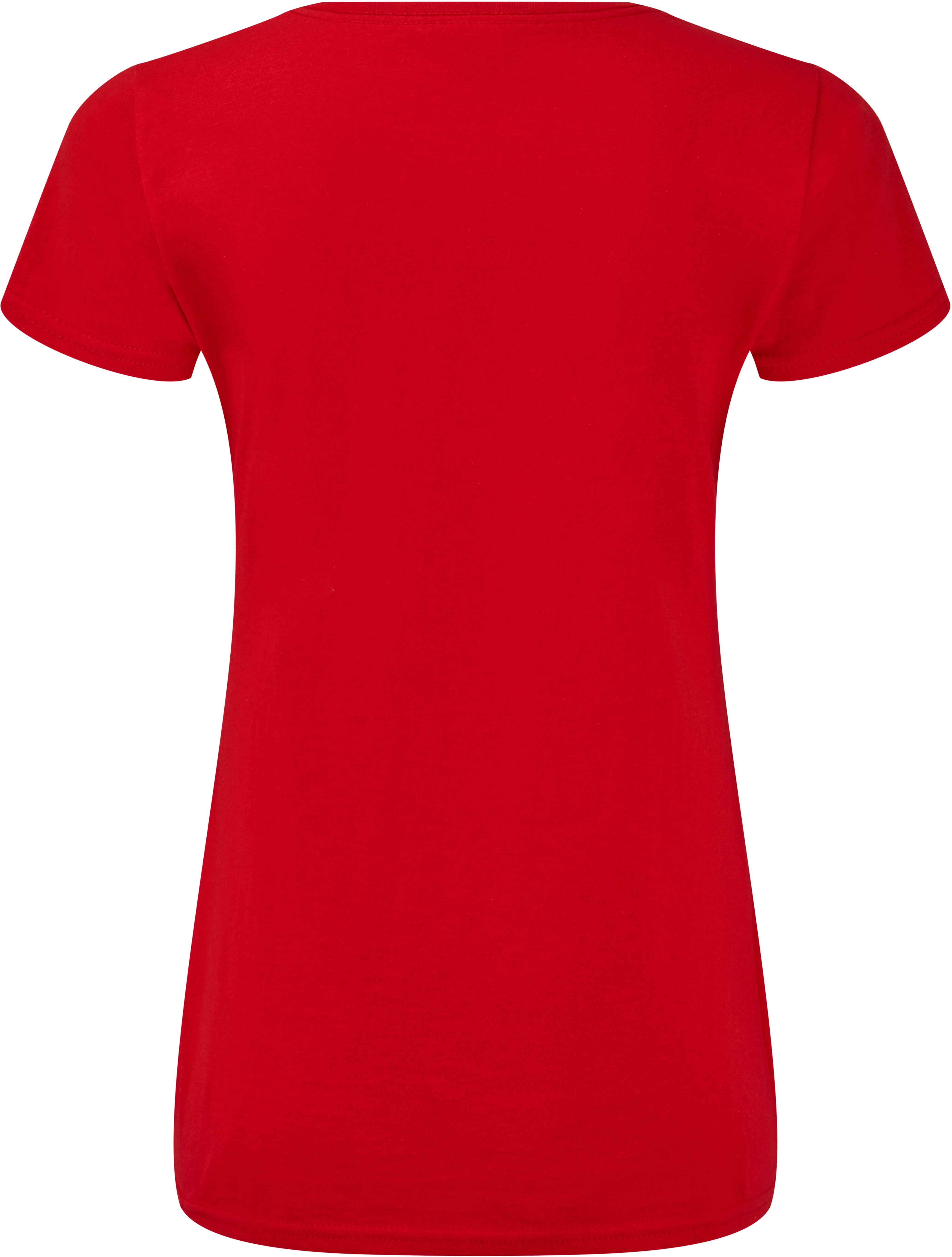 Ladies´ Iconic 150 V Neck T