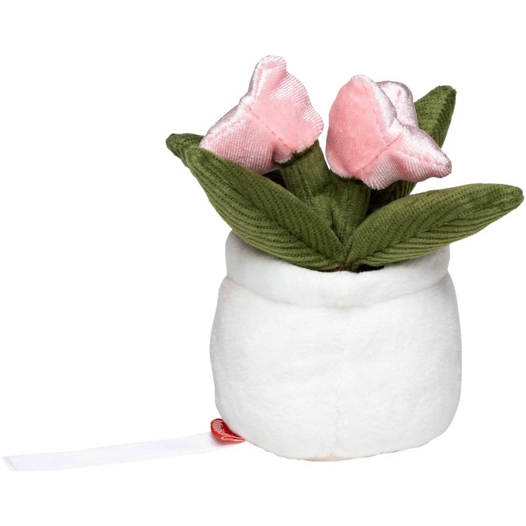 Schmoozies® Evergreenies® Tulpe