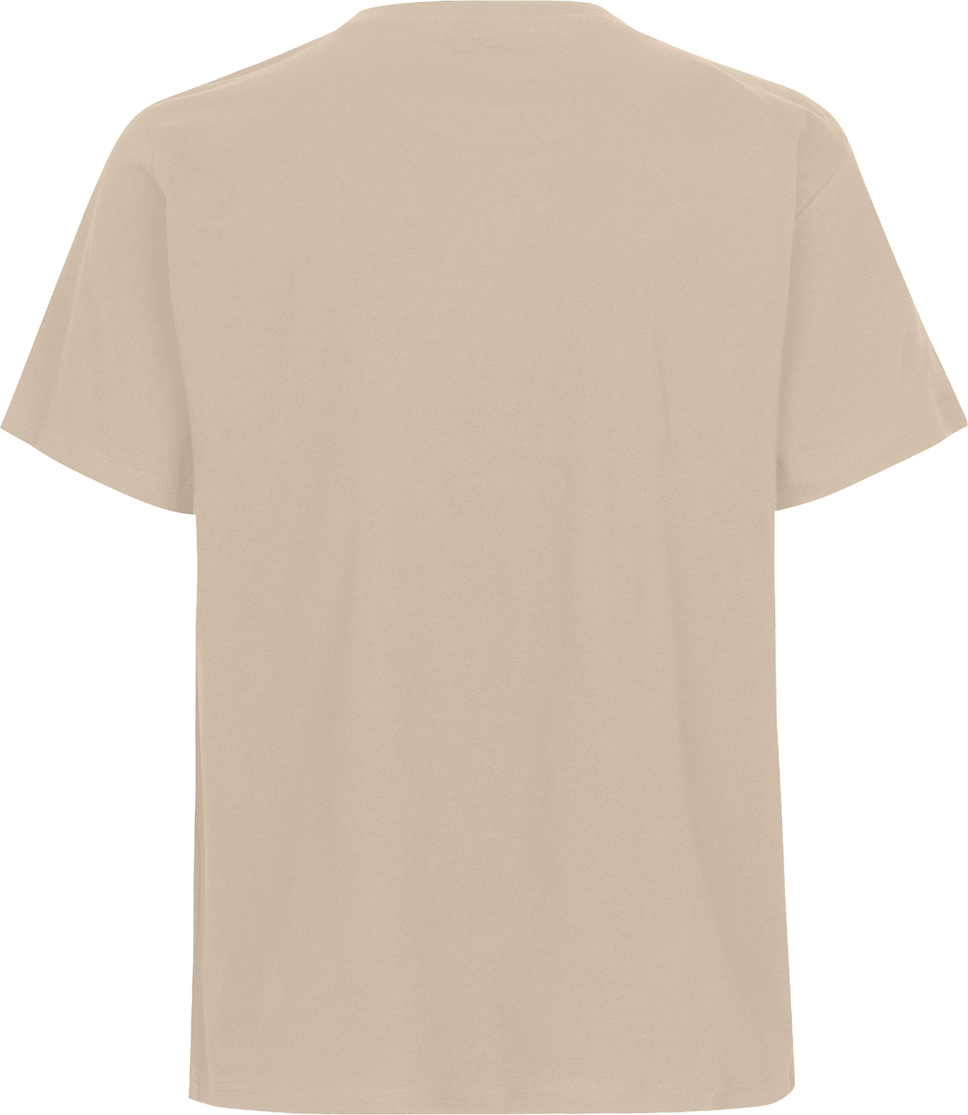 Unisex Regular T-Shirt